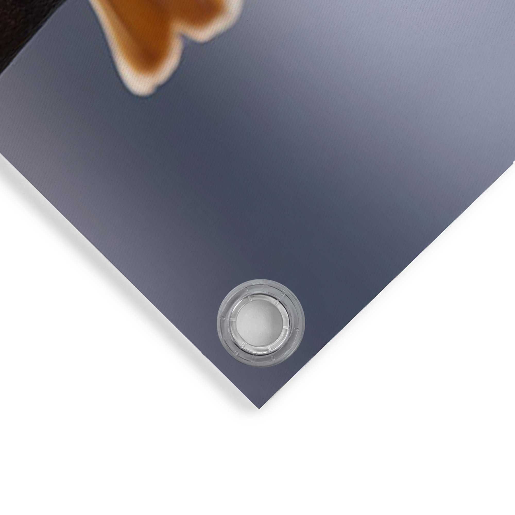 Reinders! Poster Pastel Birds, Garten - Gartenvögel - Mehrfarbig - Leinwand - Tiere - 80x60 cm