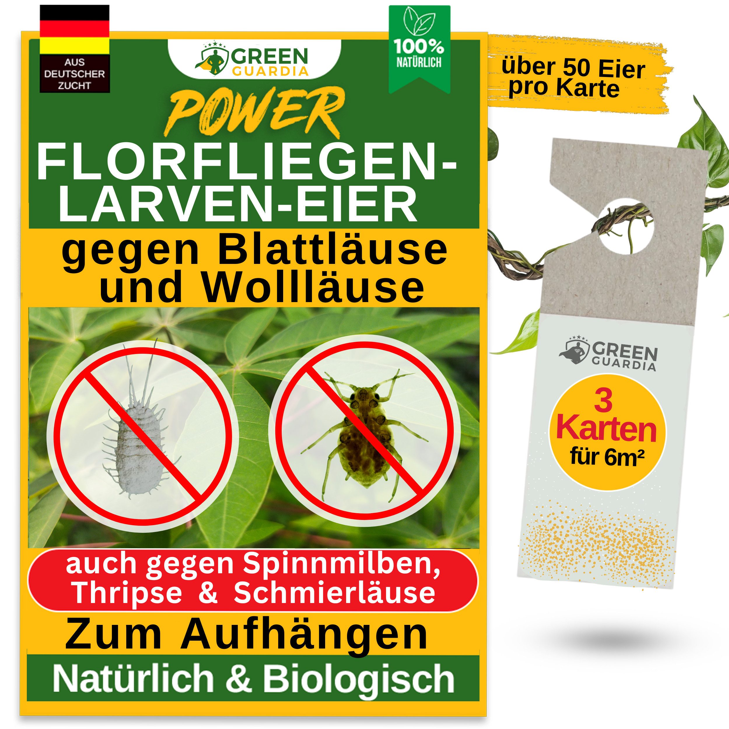 Insektenvernichter Florfliegenlarven-Eier gegen Blattläuse und Wollläuse - ohne Chemie