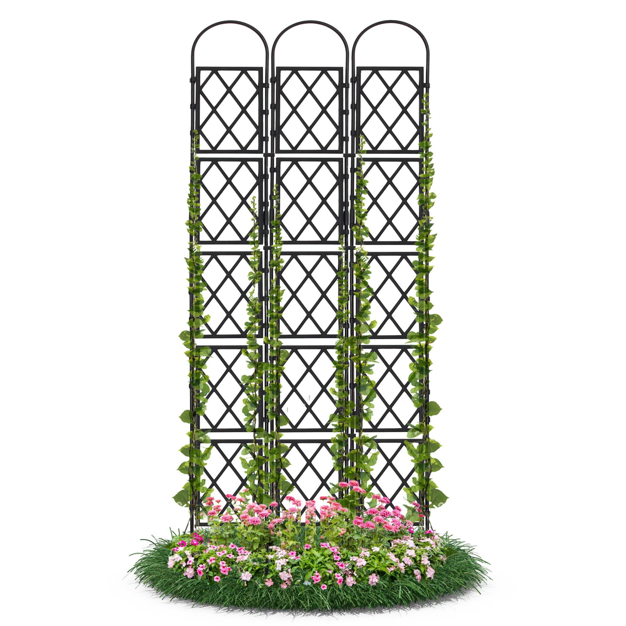 Gartenwelt Riegelsberger Rankhilfe Wandspalier mit Bogen günstig online kaufen