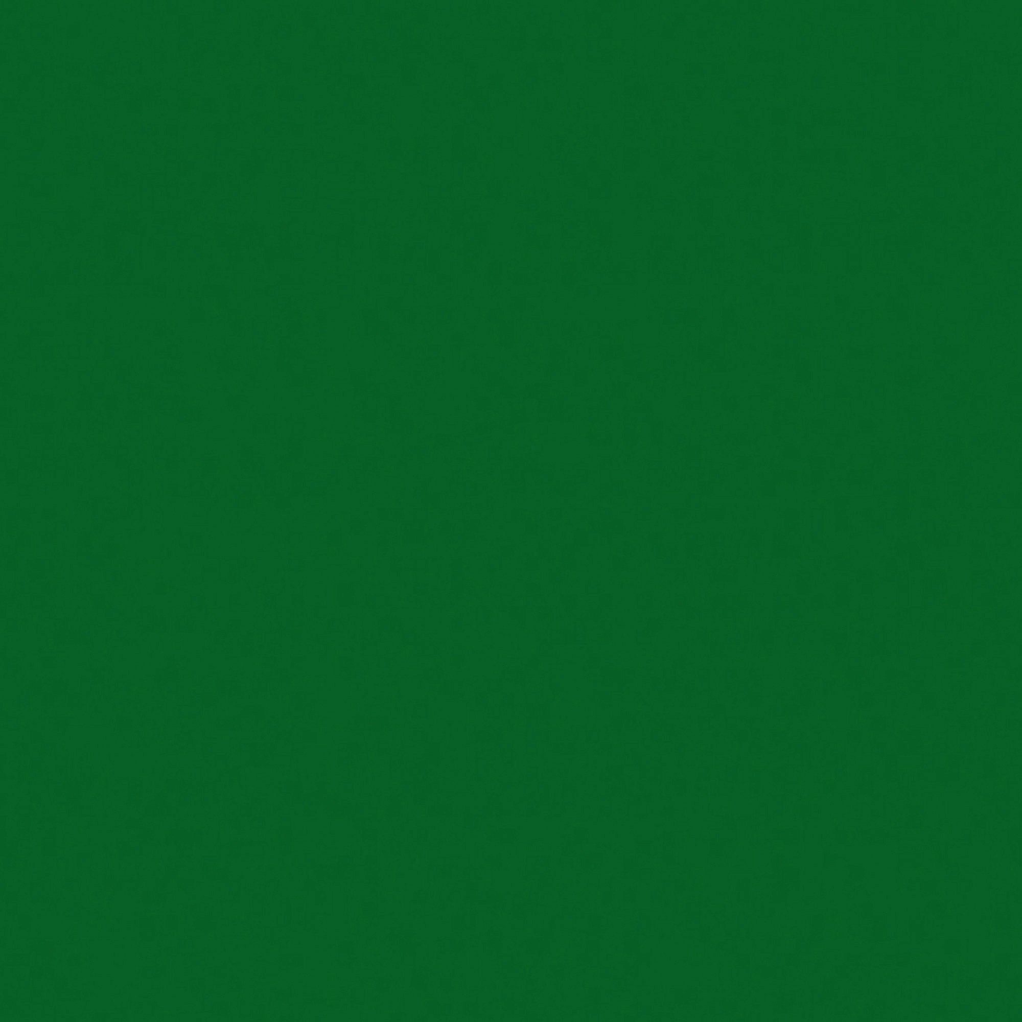 Liter, Profi grün 0,75 Consolan  Wetterschutzfarbe Holzschutz,
