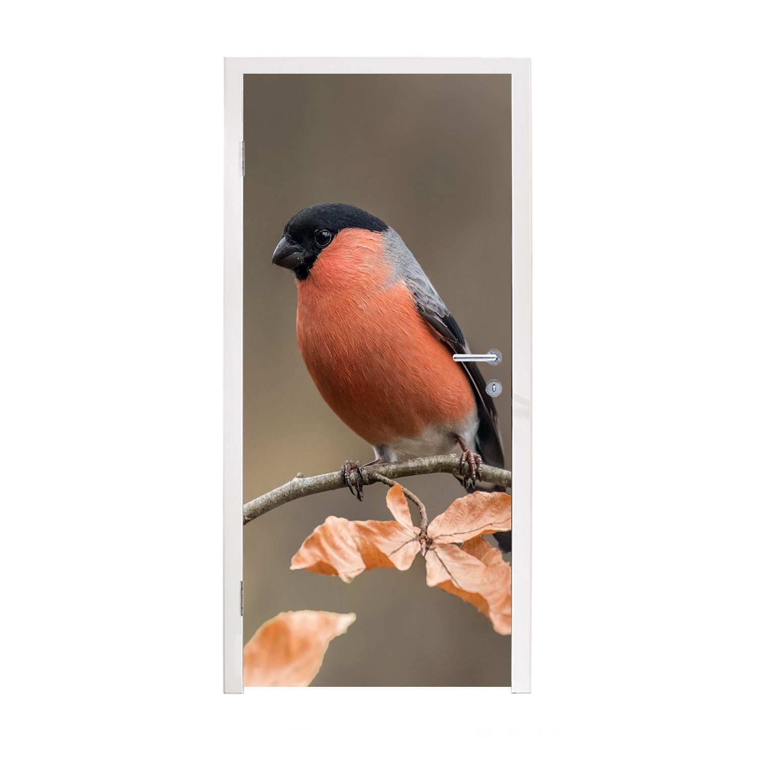 MuchoWow Türtapete Vogel - Laub - Herbst - Gimpel -, Matt, bedruckt, (1 St), Fototapete für Tür, Türaufkleber, 75x205 cm