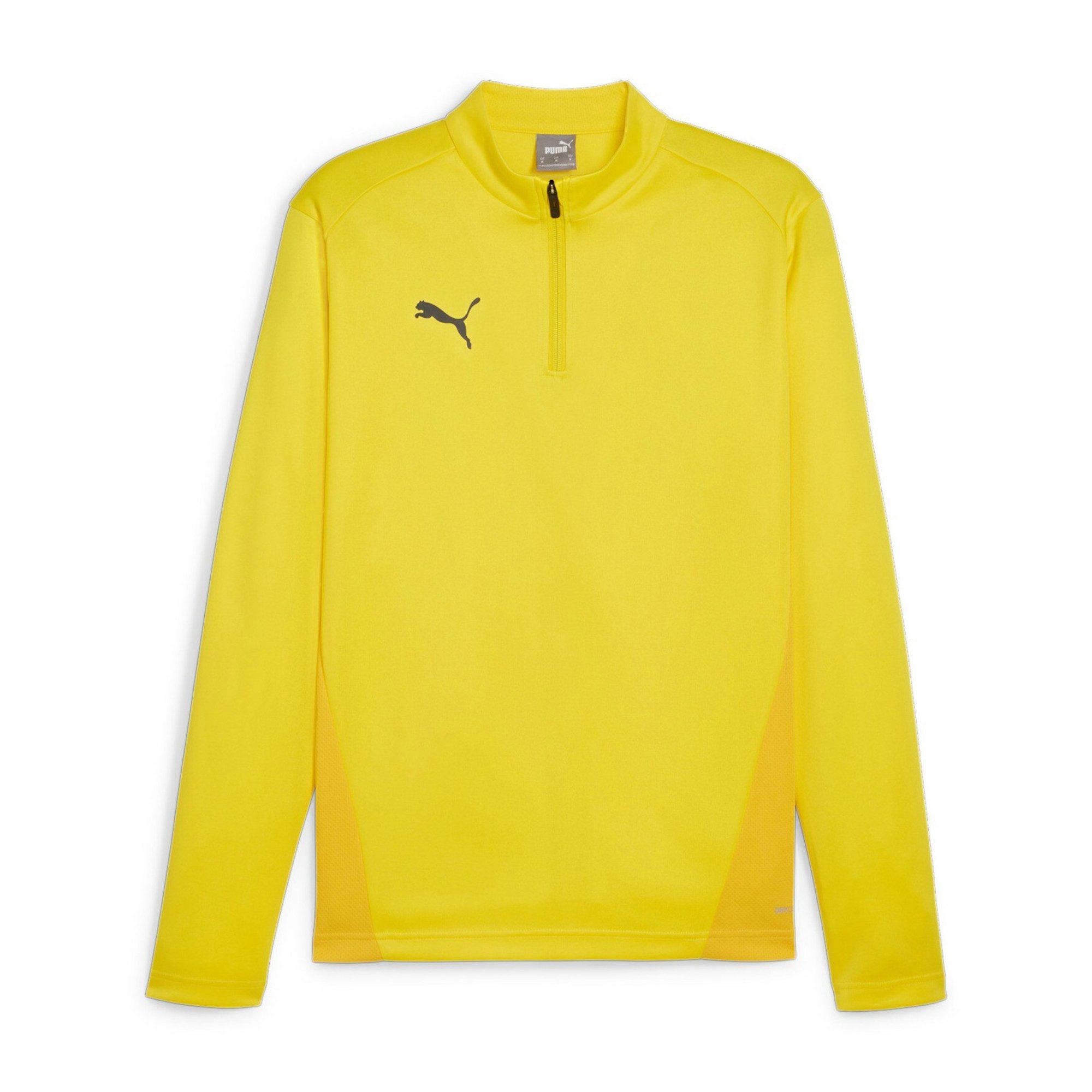 Sweatshirt PUMA teamGOAL Training 1/4 Zip Sweatshirt Herren