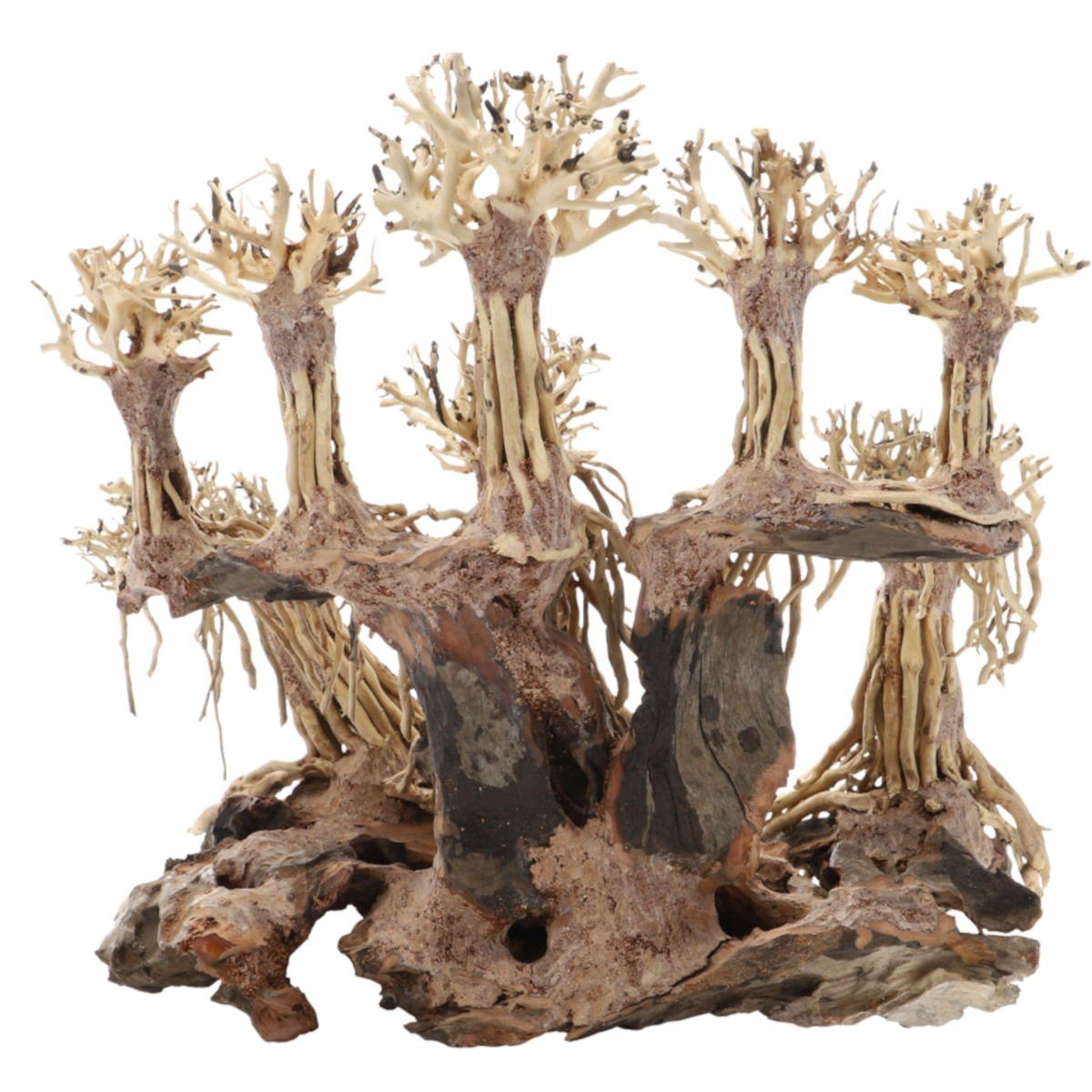 Dupla Aquariendeko Landscape eine ganze Landschaft für Ihr Aquarium