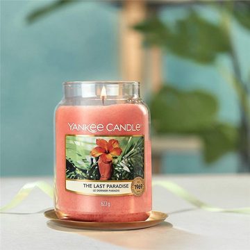 Yankee Candle Duftkerze The Last Paradise, im Glas, 623 g, Noten von Früchten und Pflanzen des Regenwaldes