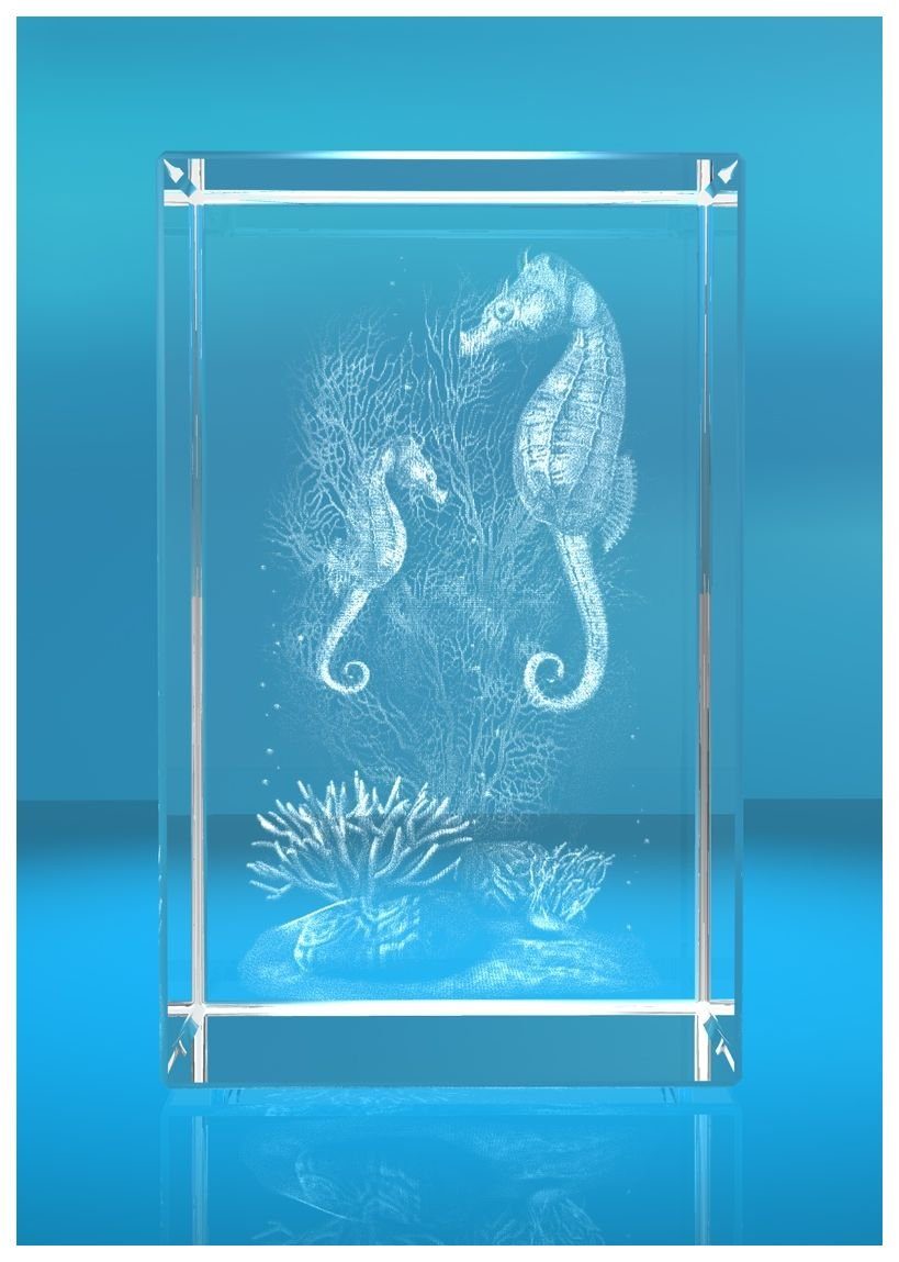 VIP-LASER Dekofigur 3D Glasquader Motiv: Seepferdchen, Hochwertige Geschenkbox, Made in Germany, Familienbetrieb
