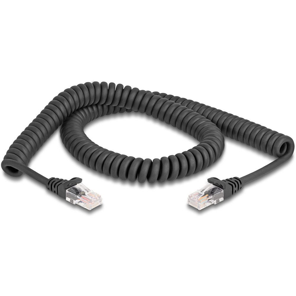 Delock Delock 87993 RJ45 Patchkabel CAT 5e 2.00 m Schwarz 1 St. Netzkabel, (200.00 cm)