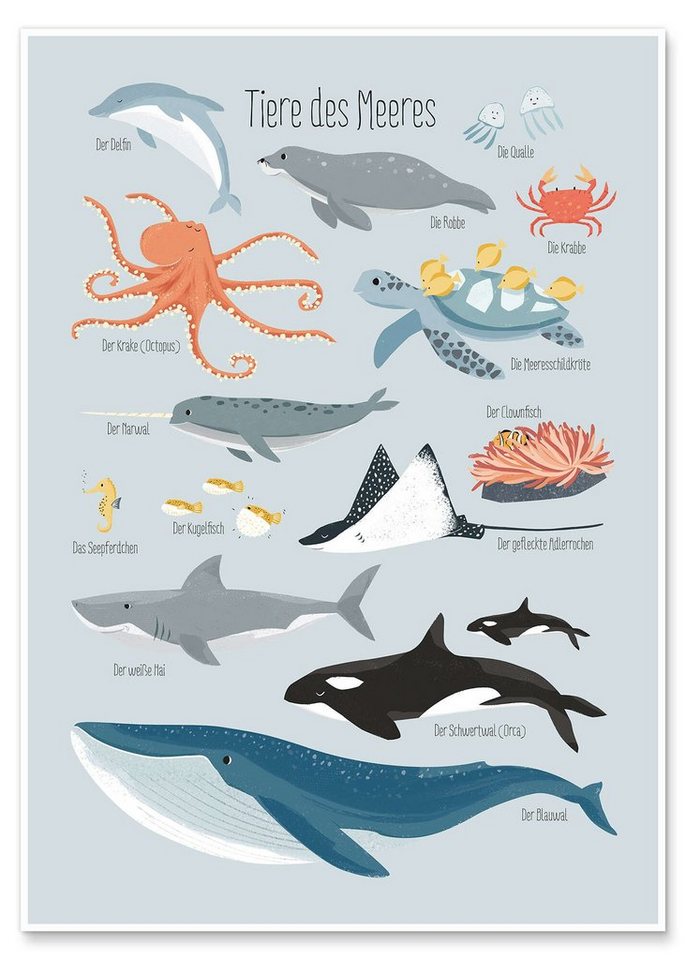 Posterlounge Wandbild, Tiere des Meeres