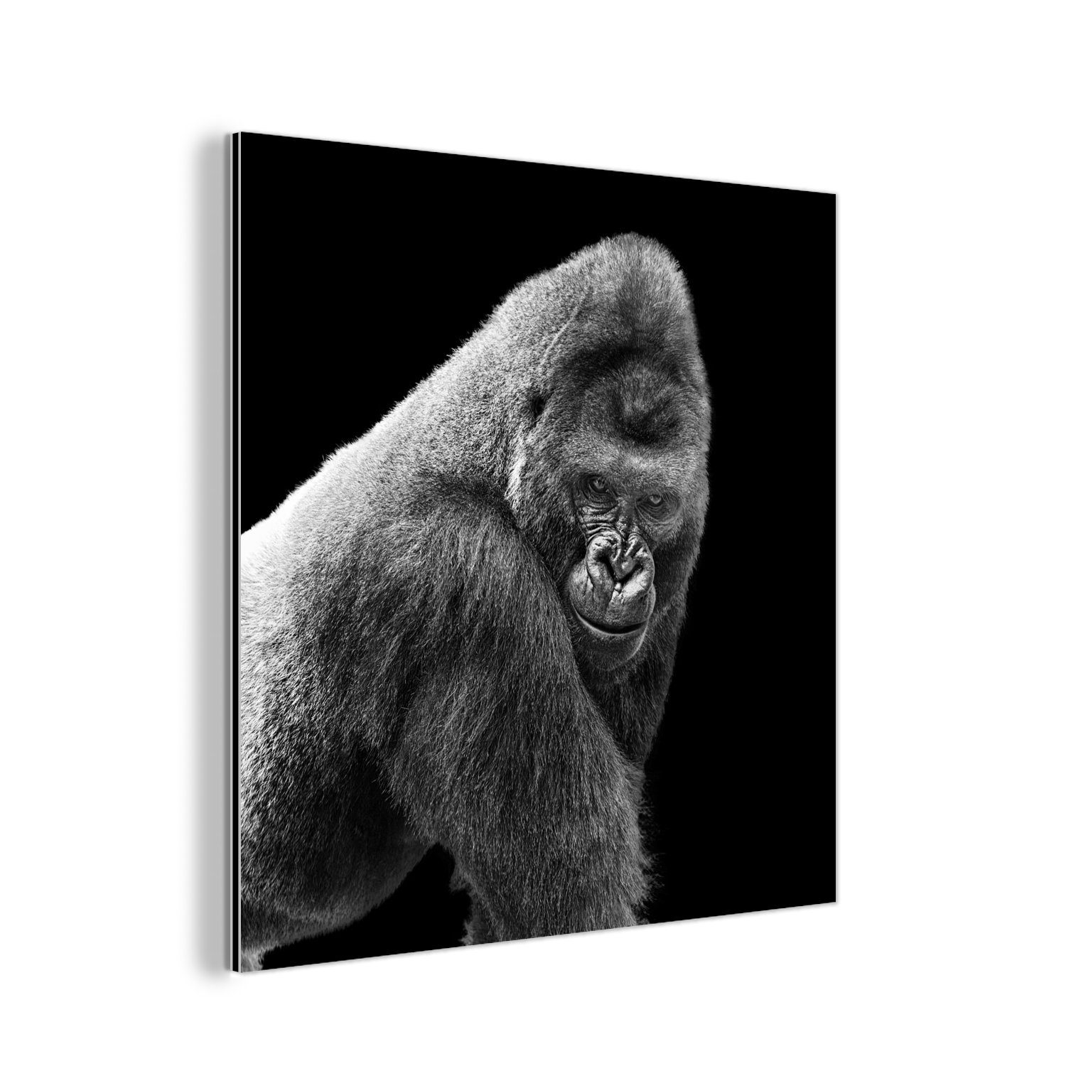 MuchoWow Metallbild Ein prächtiger Gorilla blickt herab, (1 St), Alu-Dibond-Druck, Gemälde aus Metall, Aluminium deko | Bilder