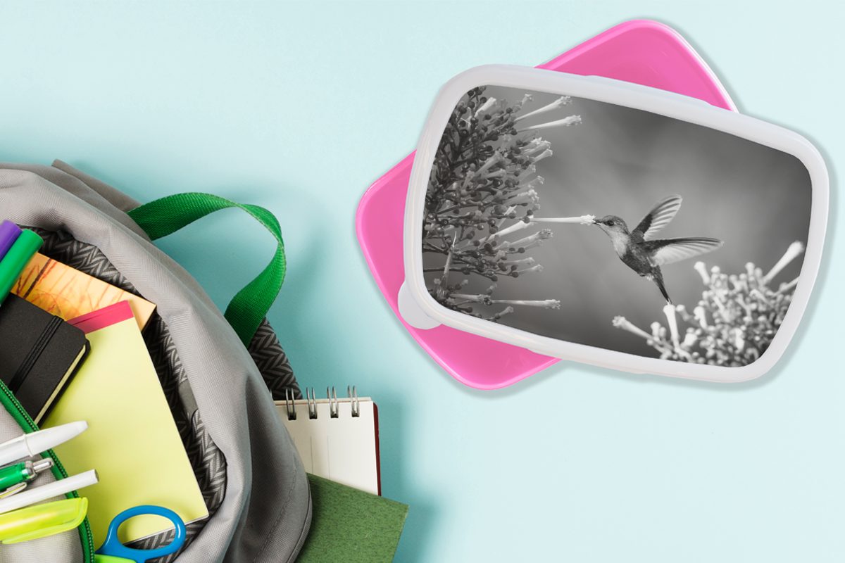 MuchoWow Lunchbox Purpurscheitel-Waldnymphe im Snackbox, in, Kunststoff, von Brotbox Mädchen, Kunststoff Kinder, Nationalpark für rosa Rica (2-tlg), Erwachsene, Brotdose Costa