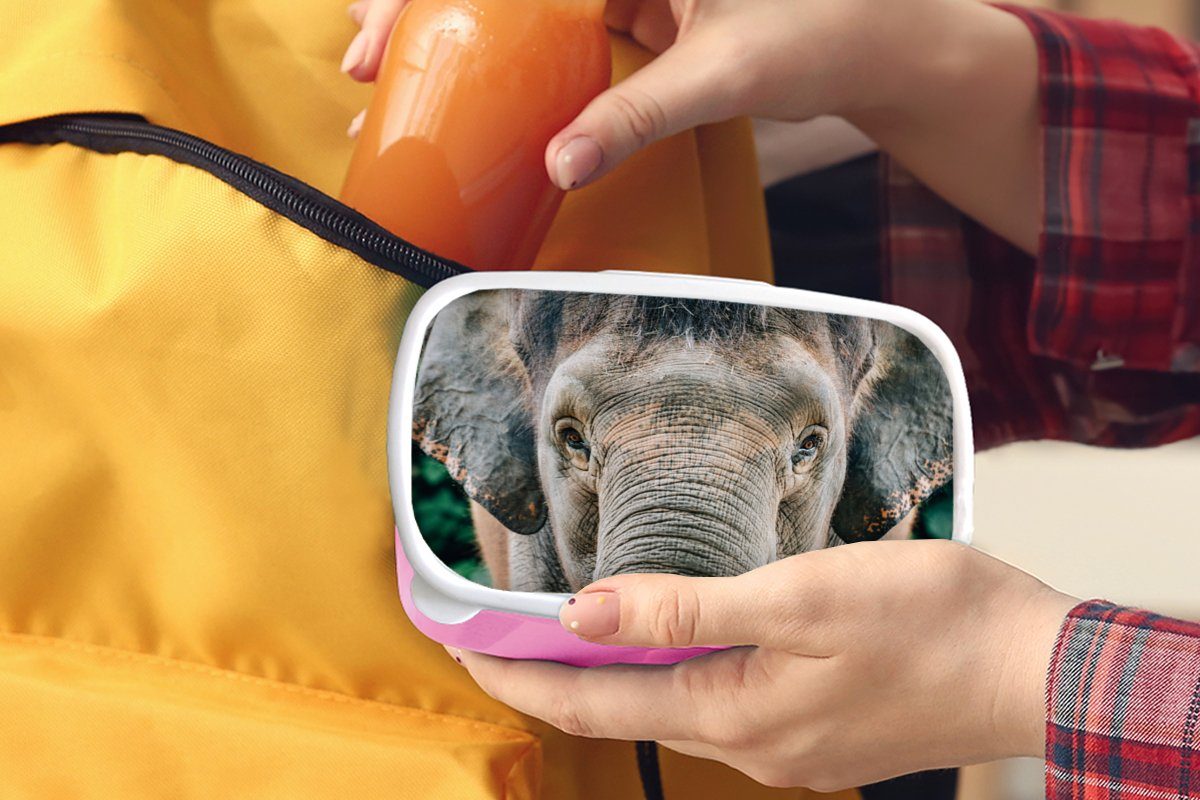 Kinder, Tiere - Lunchbox MuchoWow Elefant Brotbox Porträt - Grau, für Snackbox, (2-tlg), Brotdose Kunststoff, - rosa Erwachsene, Mädchen, Kunststoff