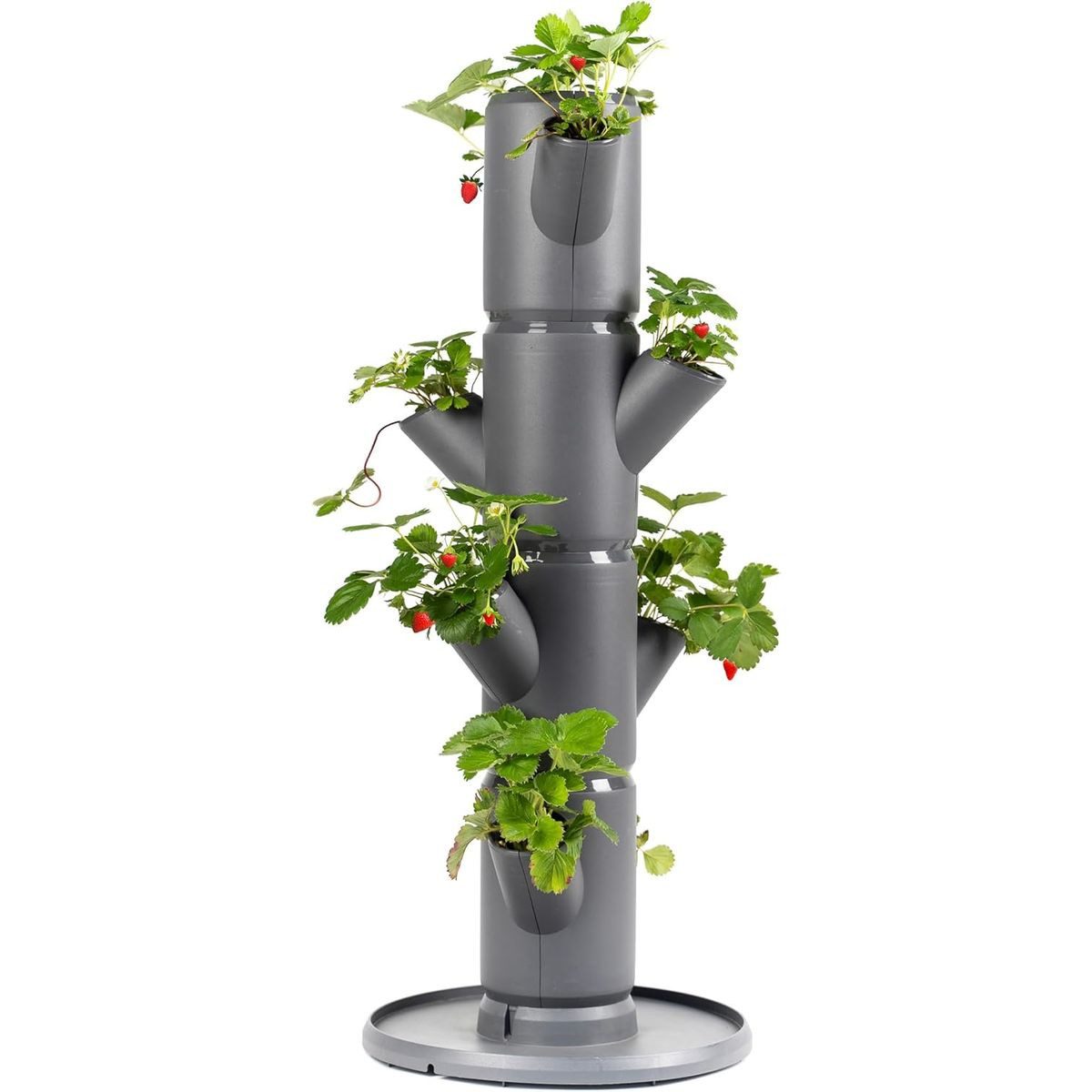 Gusta Garden Hochbeet SISSI STRAWBERRY starter (inkl. Wasserauslaufschutz & Wasserleitsystem), Erdbeerbaum mit 4 Etagen, anthrazit