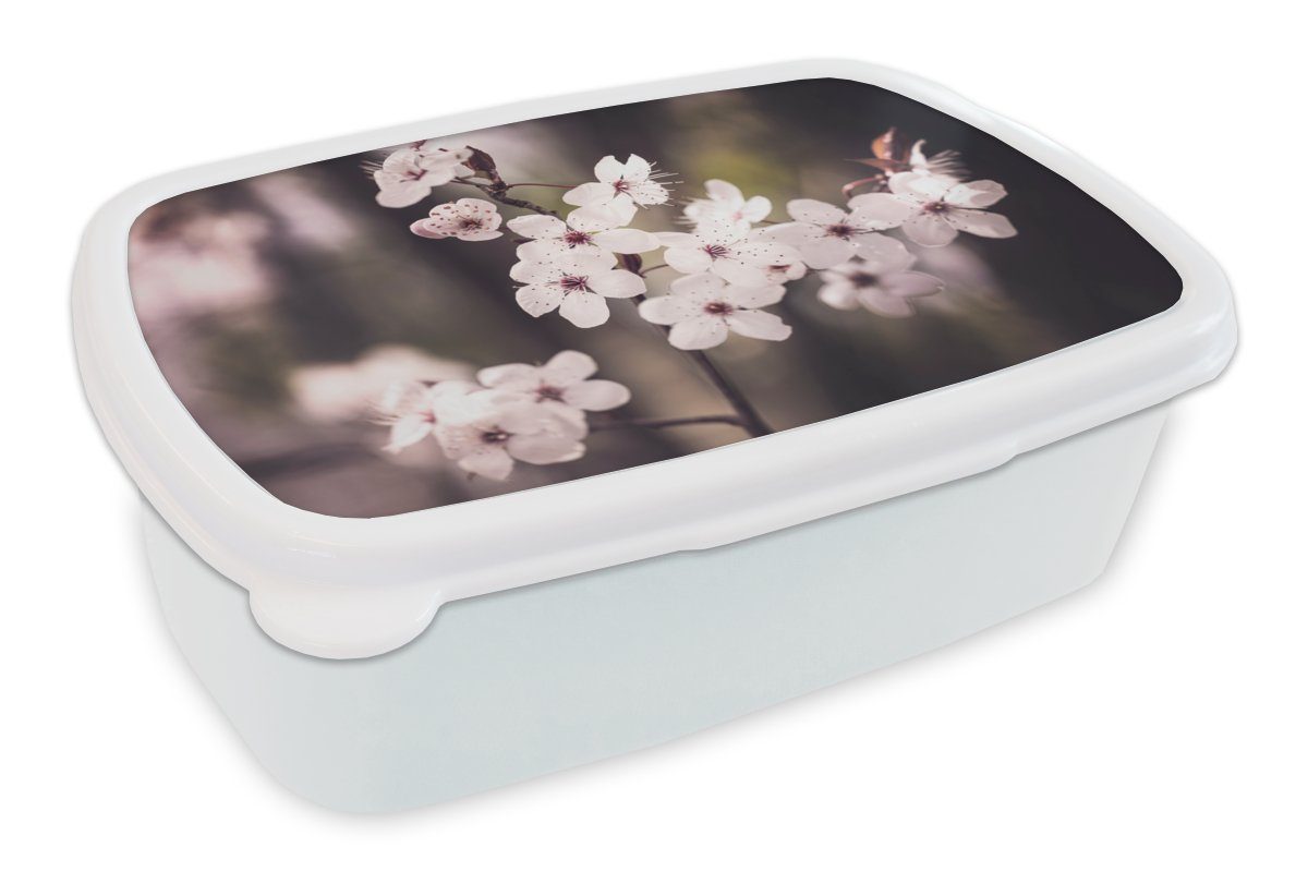 MuchoWow Lunchbox Blumen - Weiß - Natur - Pflanze - Blüte, Kunststoff, (2-tlg), Brotbox für Kinder und Erwachsene, Brotdose, für Jungs und Mädchen