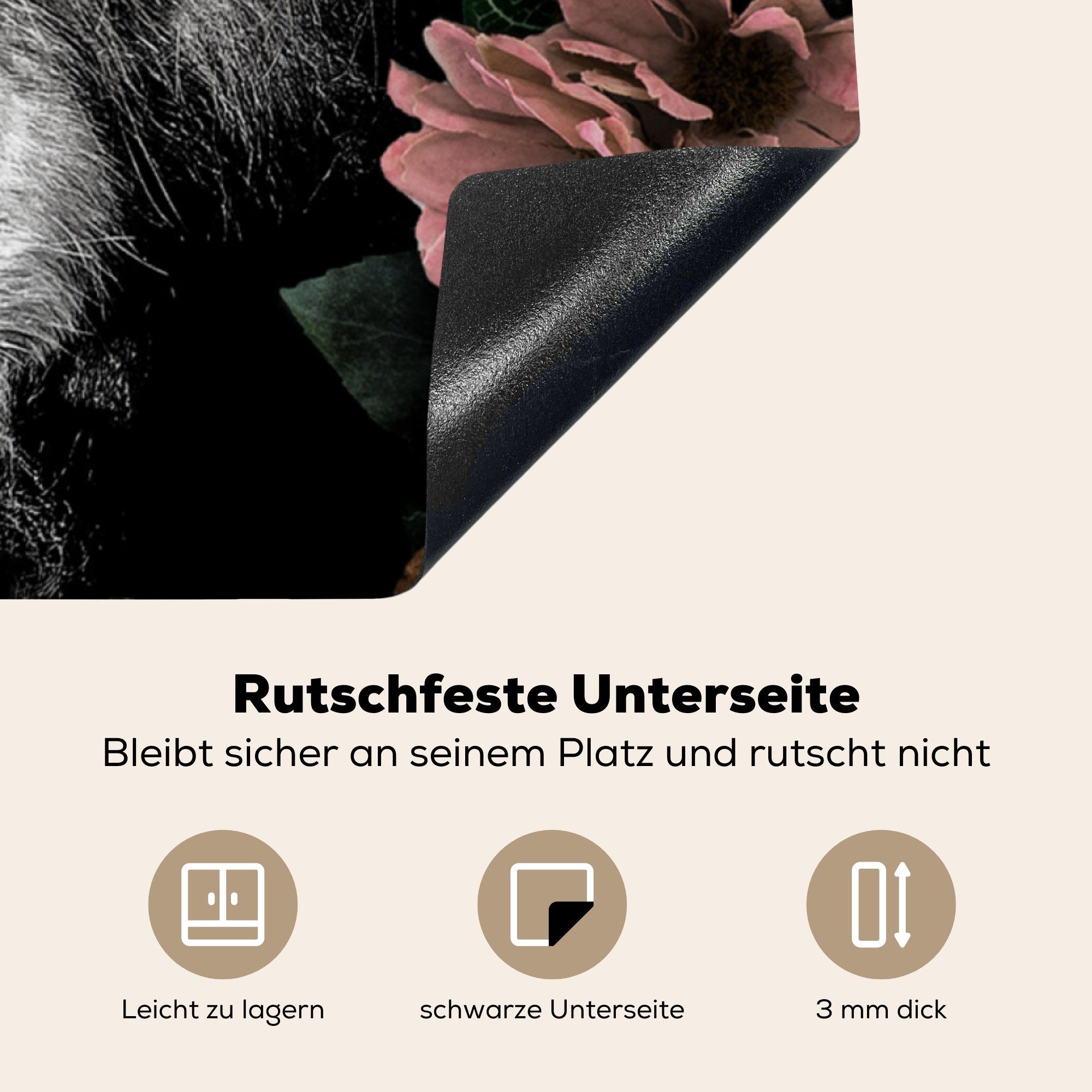 MuchoWow Herdblende-/Abdeckplatte Schottischer Highlander Ceranfeldabdeckung, Arbeitsplatte Blumen - - Schwarz küche 78x78 cm, - (1 Weiß, für tlg), Vinyl