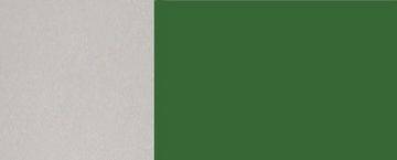 Feldmann-Wohnen Unterschrank Florence (Florence, 1-St) 60cm Front- & Korpusfarbe wählbar grifflos 2 Schubladen (Teilauszug)