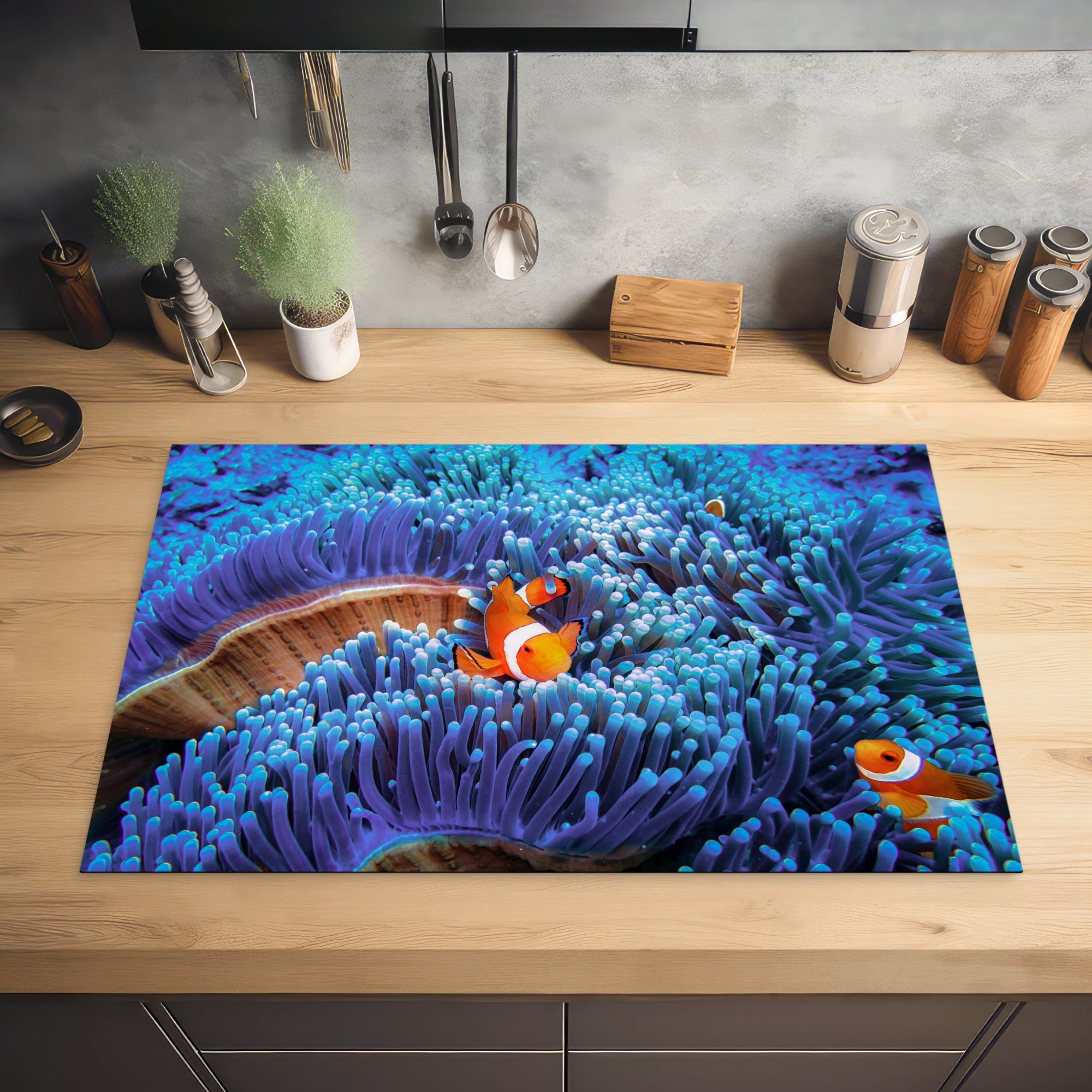 durch küche, Schutz tlg), die 81x52 Dreibandige Induktionskochfeld blaue (1 Anemonenfische cm, Herdblende-/Abdeckplatte Vinyl, schwimmen Korallen, MuchoWow Ceranfeldabdeckung für