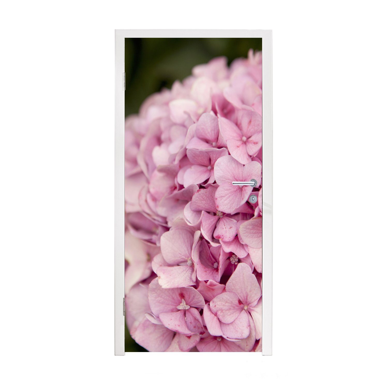 MuchoWow Türtapete Nahaufnahme einer rosa Hortensie, Matt, bedruckt, (1 St), Fototapete für Tür, Türaufkleber, 75x205 cm