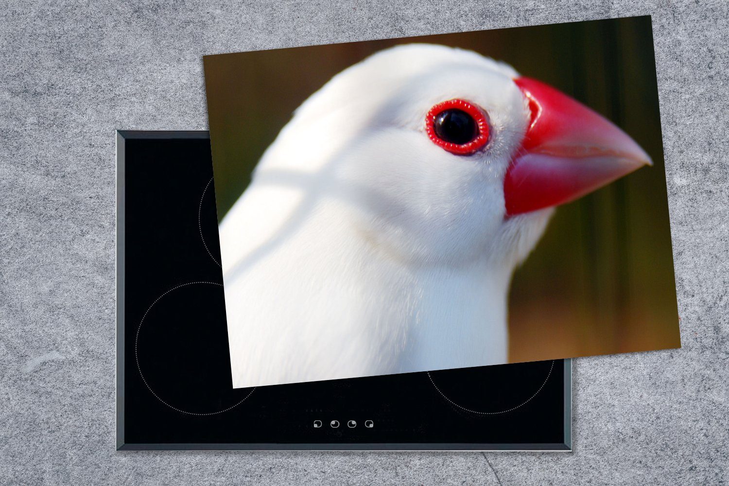 Ceranfeldabdeckung Reisvogels (1 weißen Nahaufnahme Herdblende-/Abdeckplatte Mobile in Vinyl, nutzbar, tlg), cm, eines Korea, Arbeitsfläche 70x52 MuchoWow
