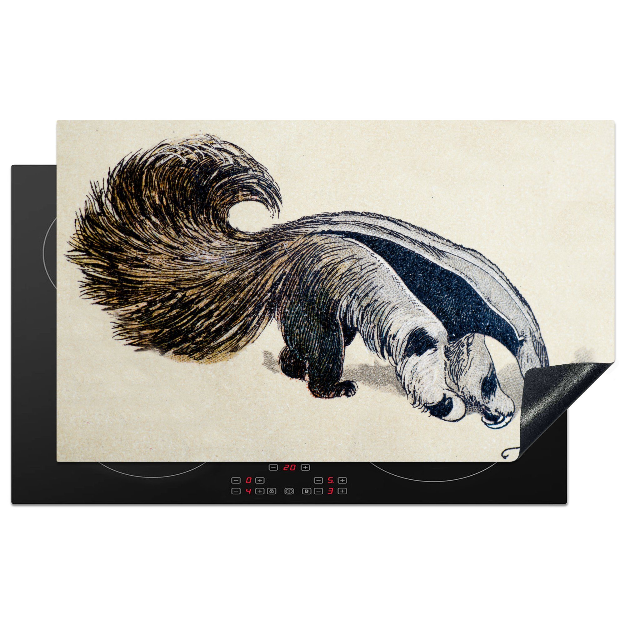 MuchoWow Herdblende-/Abdeckplatte Eine antike Illustration eines riesigen Ameisenbären, Vinyl, (1 tlg), 83x51 cm, Ceranfeldabdeckung, Arbeitsplatte für küche | Herdabdeckplatten
