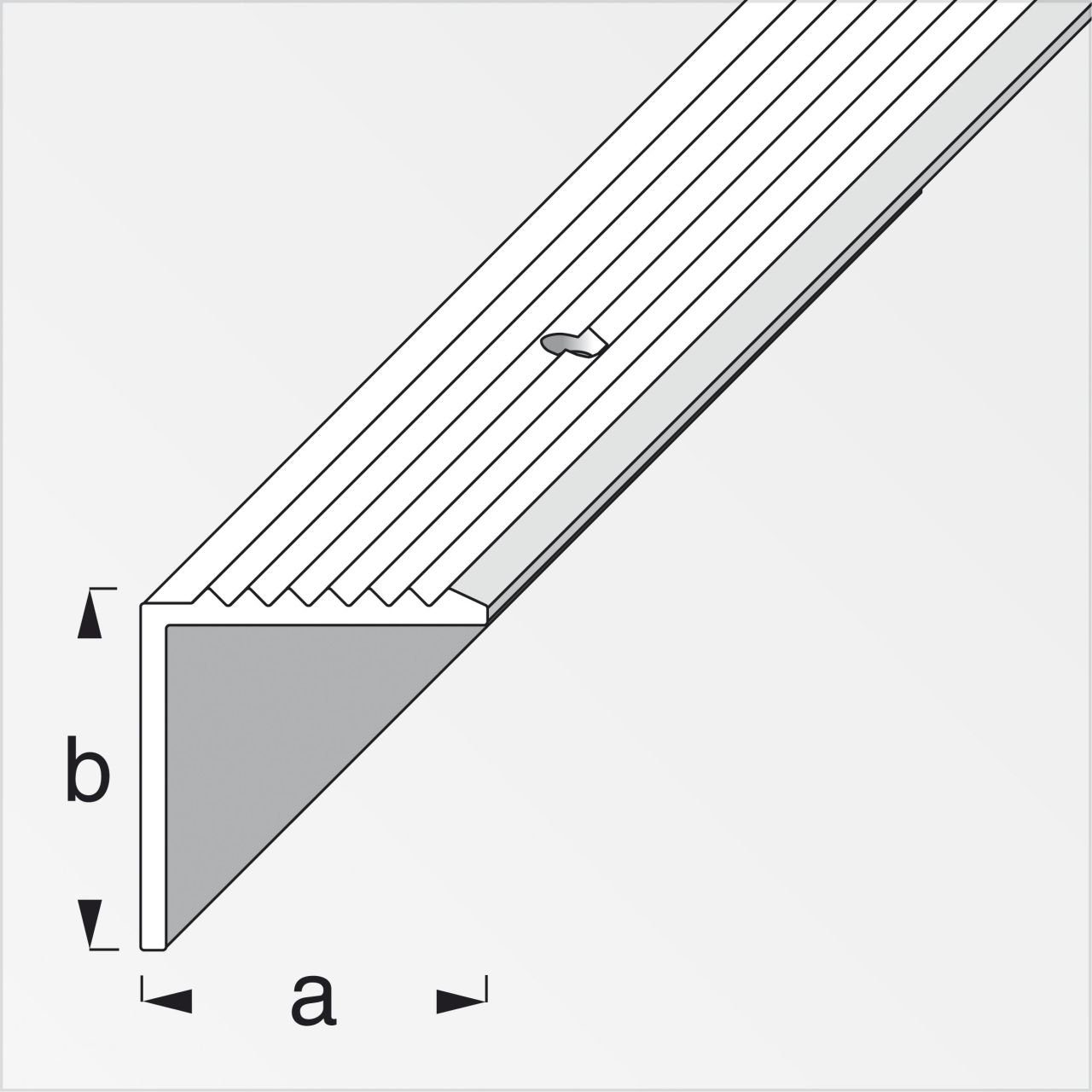 alfer Treppenstufen-Seitenblende alfer Aluminium 2 20 19 mm Treppenprofil x m