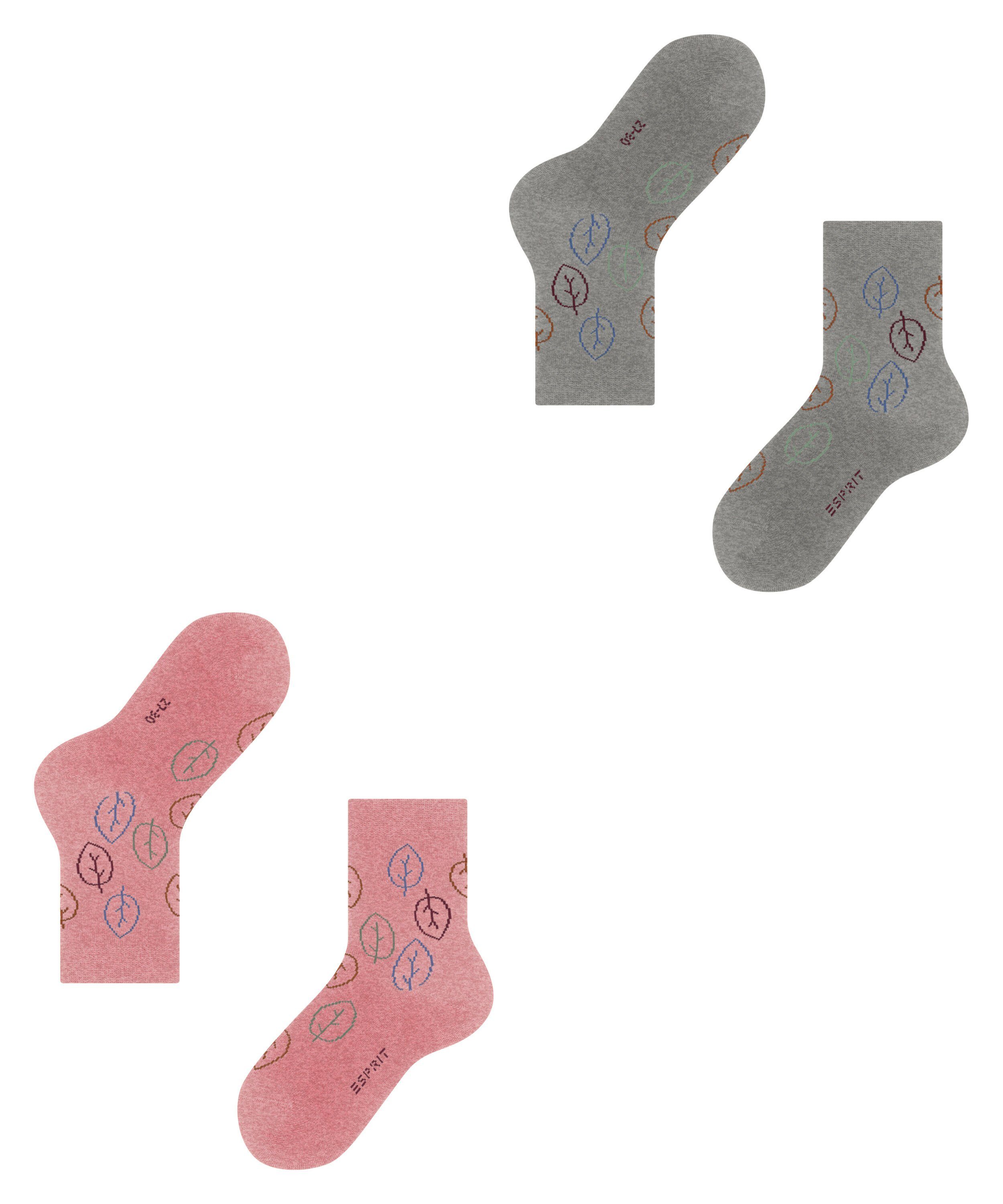 Forest Socken (2-Paar) Esprit (0010) sortiment 2-Pack