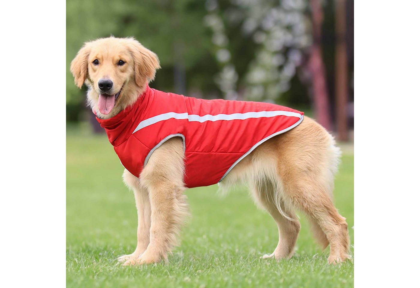 Thumbnail - Monkimau Tierjacke Hundejacke - XL in rot