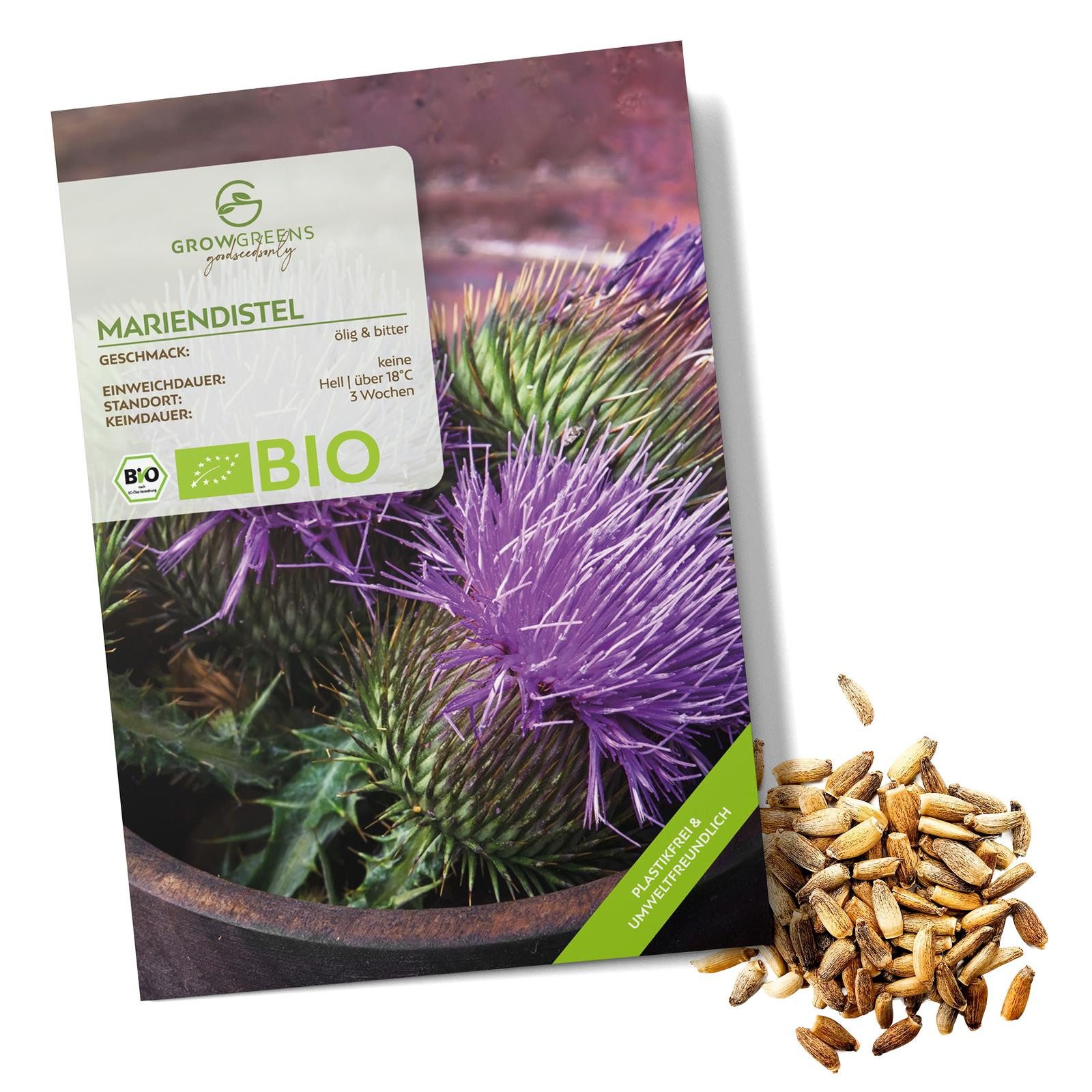 Kräutersamen BIO Mariendistel Samen - Heilkräuter Saatgut aus bio. Anbau (50 Korn)