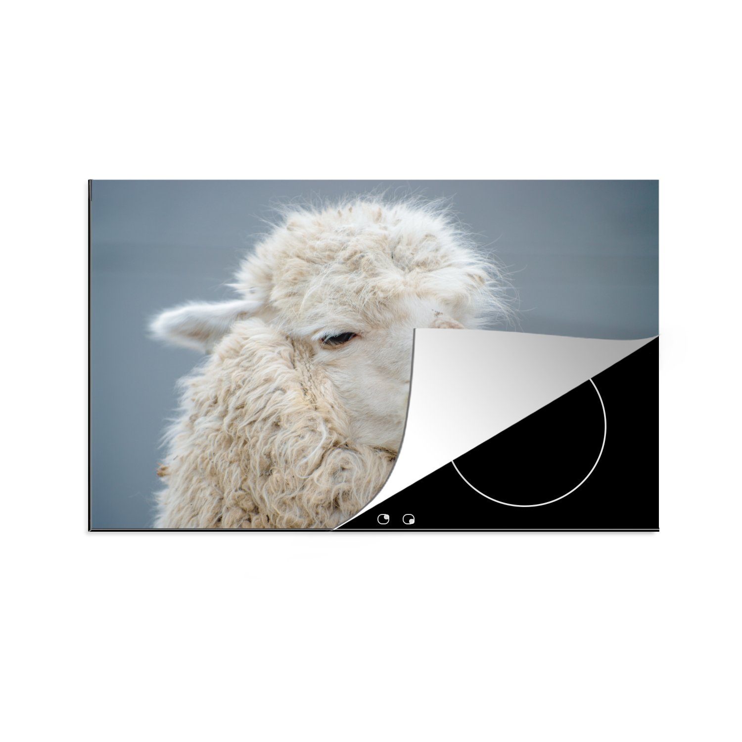 MuchoWow Herdblende-/Abdeckplatte Alpaka - Wolle Weiß, für (1 - die Vinyl, 81x52 cm, Induktionskochfeld Ceranfeldabdeckung tlg), Schutz küche
