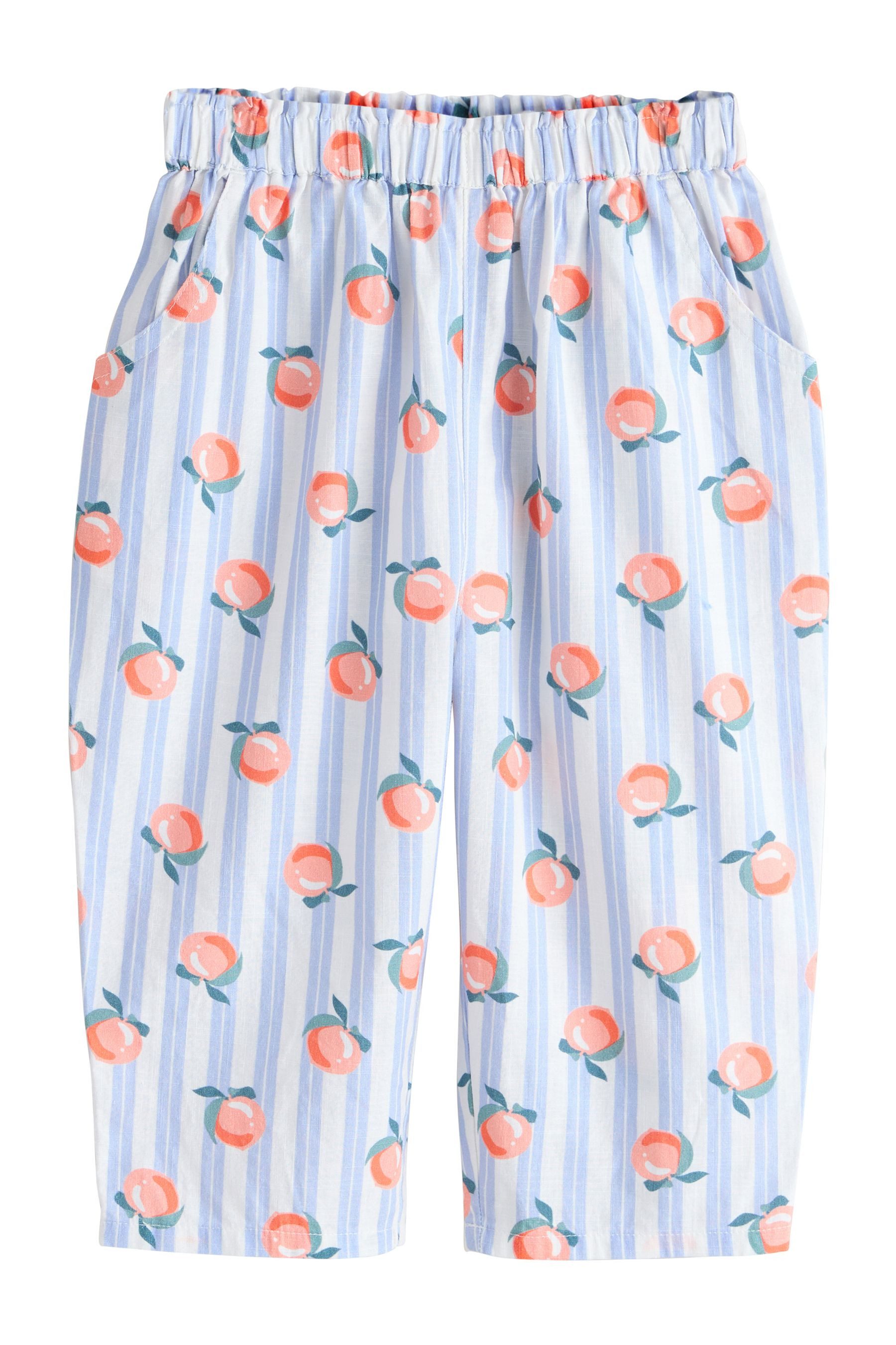 Blue Stripe Peach Print