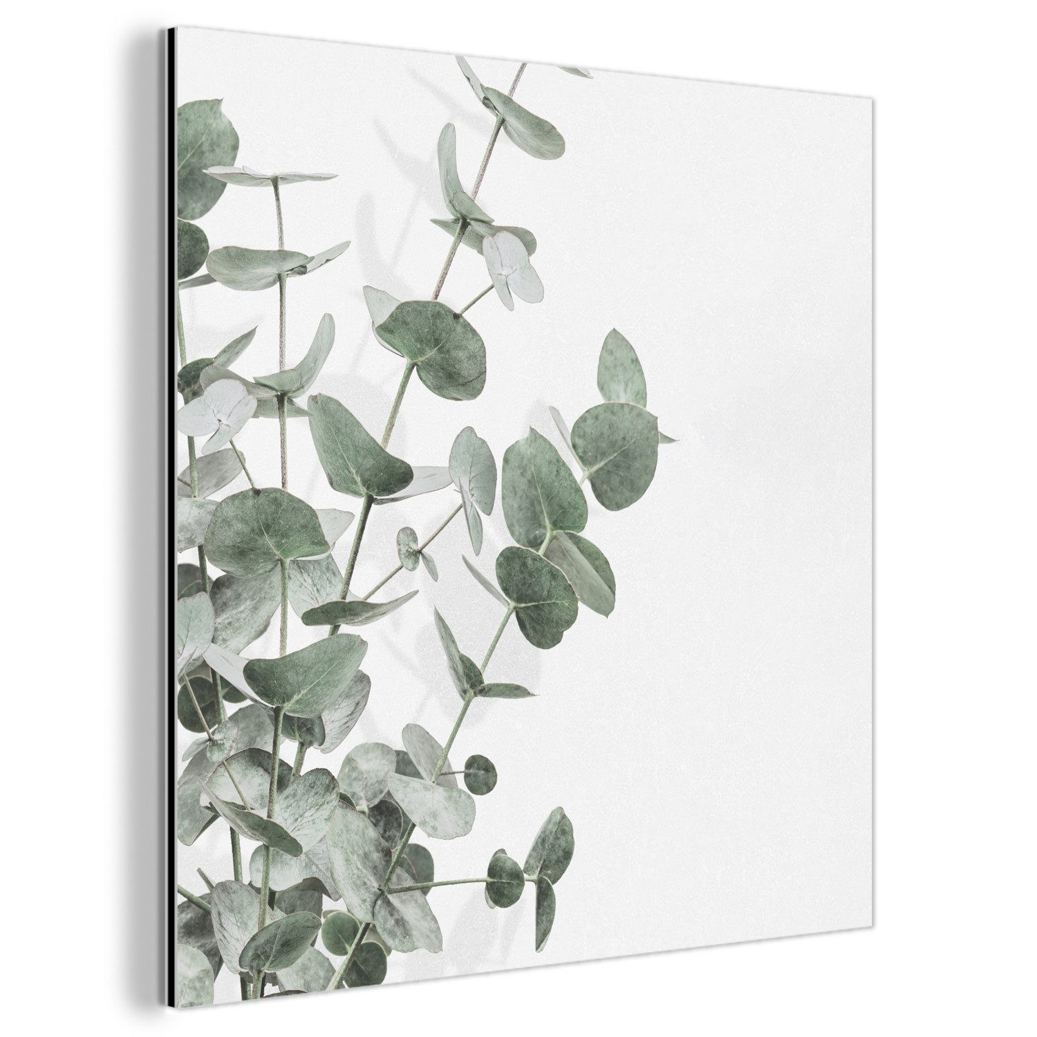 MuchoWow Metallbild Eukalyptus - Blätter - günstig online kaufen