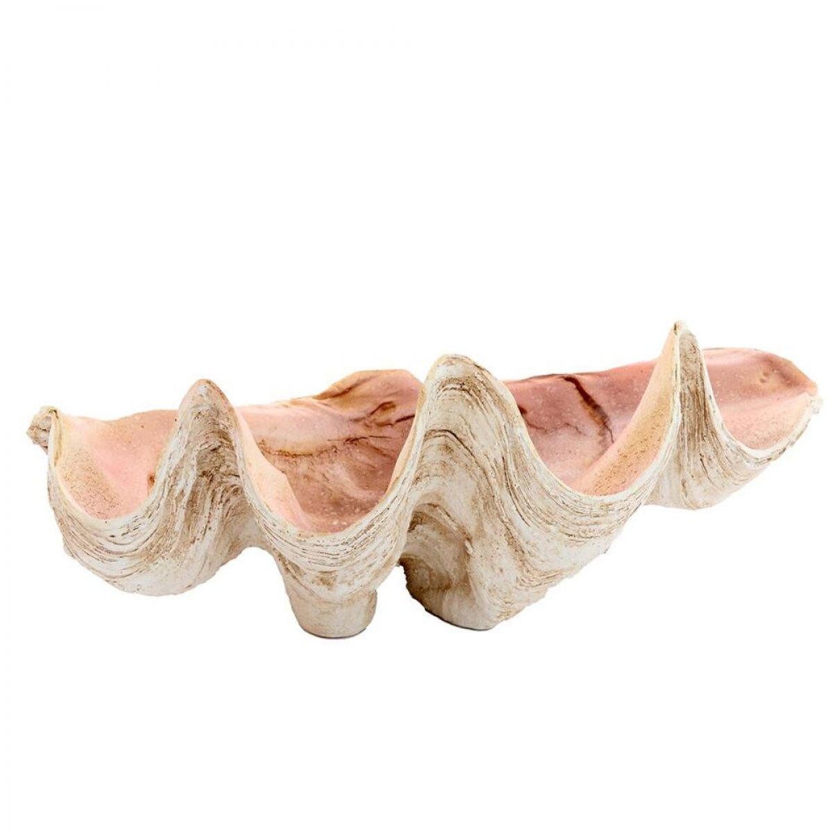 Light & Living Skulptur Dekorationsobjekt Muschell Shell Taupe Koralle (41x25cm)