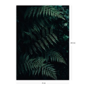 Close Up Poster Dschungel Kunstdruck Set DIN A4 21 x 29,7 cm