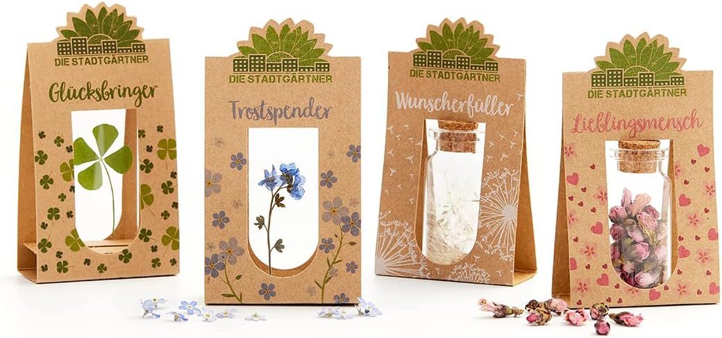 Trockenblume Natürliche Geschenke für alle Gefühle: günstig online kaufen