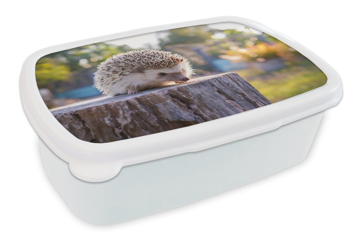 MuchoWow Lunchbox Igel auf einem Baumstamm, Kunststoff, (2-tlg), Brotbox für Kinder und Erwachsene, Brotdose, für Jungs und Mädchen weiß