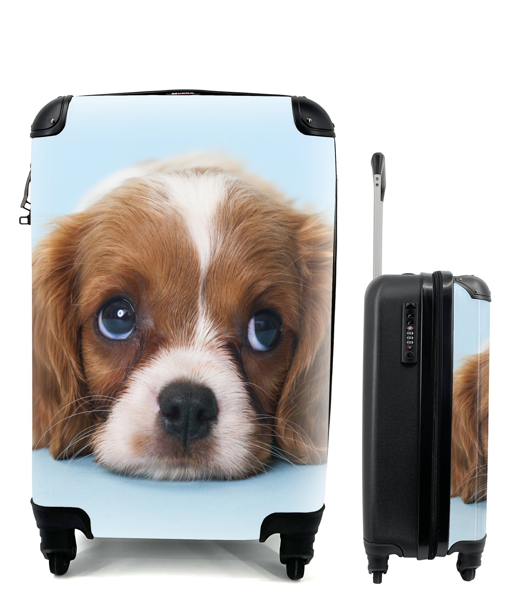 MuchoWow Handgepäckkoffer Reisekoffer King Cavalier rollen, Reisetasche Handgepäck 4 Rollen, Welpe, Charles für mit Trolley, Spaniel Ferien