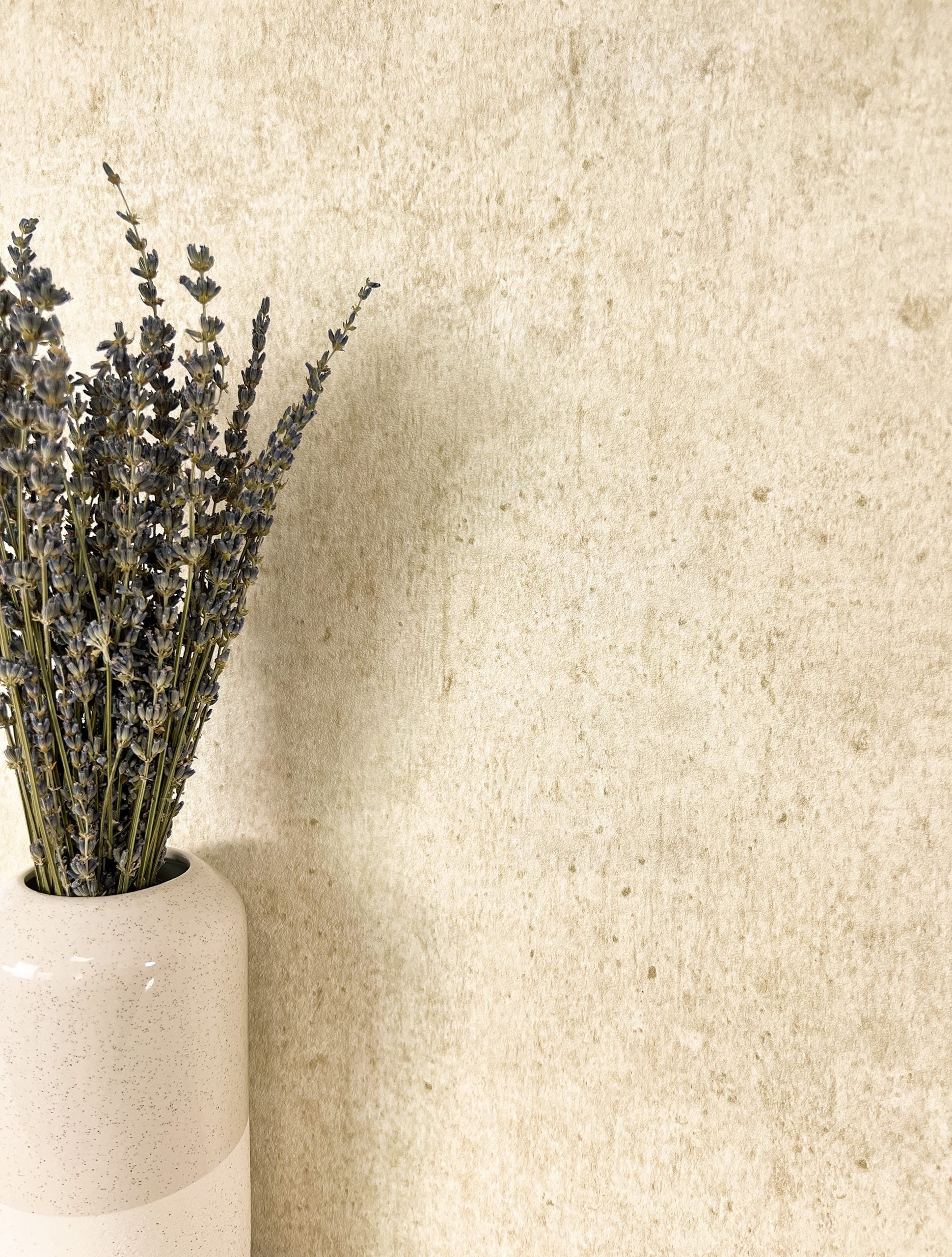 Newroom Vliestapete, Beige Tapete Modern Beton günstig online kaufen