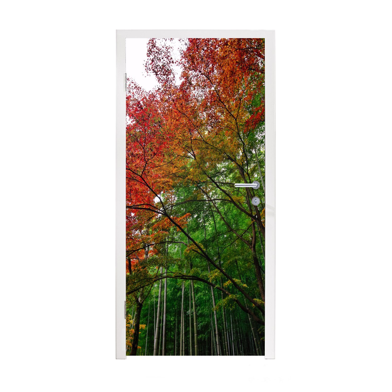 MuchoWow Türtapete Viele Farben im Bambuswald von Arashiyama Japan, Matt, bedruckt, (1 St), Fototapete für Tür, Türaufkleber, 75x205 cm
