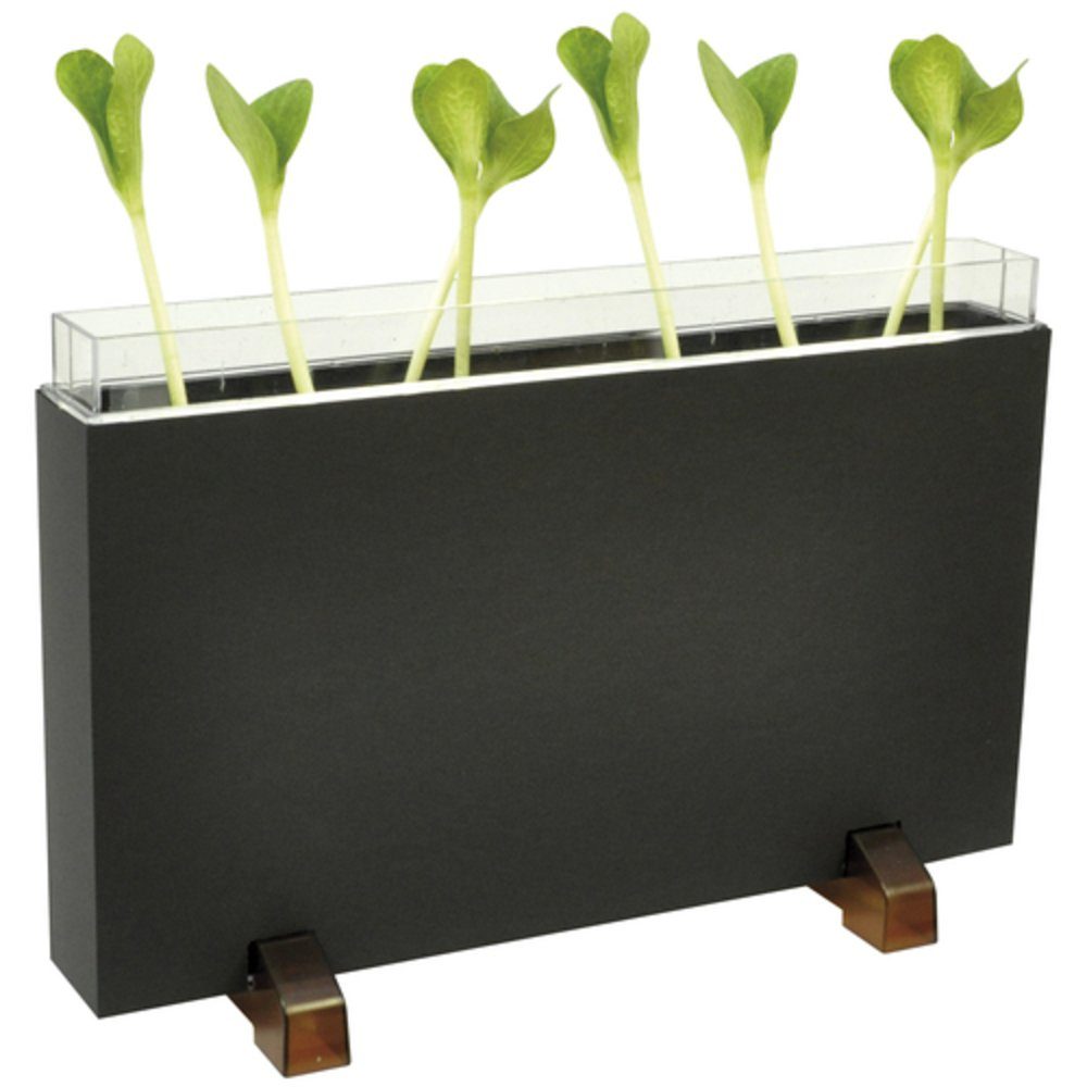 EDUPLAY Spielzeug-Gartenset Wurzelhaus / Wurmhaus 30 x 19 x 4 cm günstig online kaufen