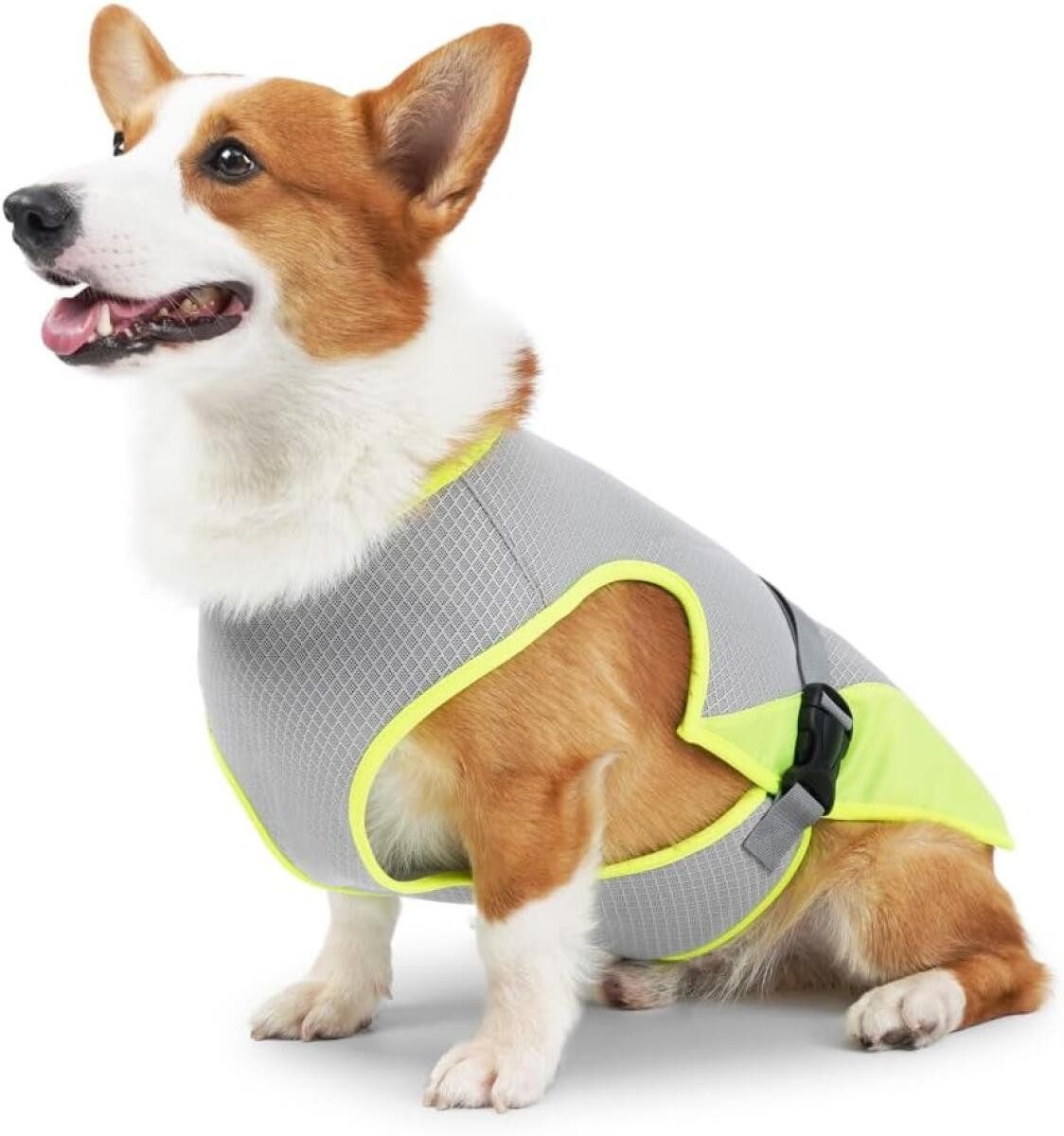 FELIXLEO Hundeweste Hund Kühlweste Atmungsaktiv Netz Cooler Hundemantel für Outdoor