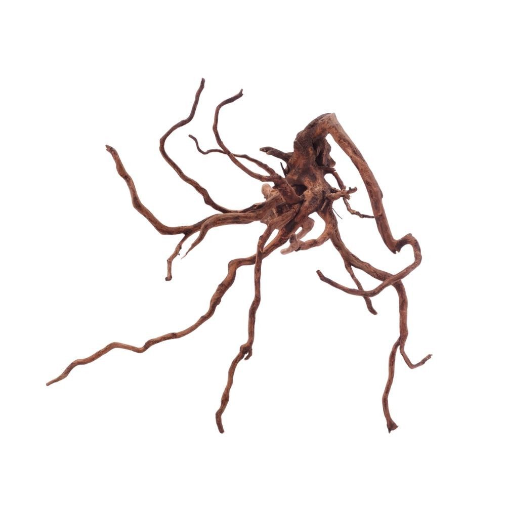 Aquaone Aquarium XL Red Spider Wurzel Nr.5093 Fingerwurzel Echtholz Deko Aquascaping