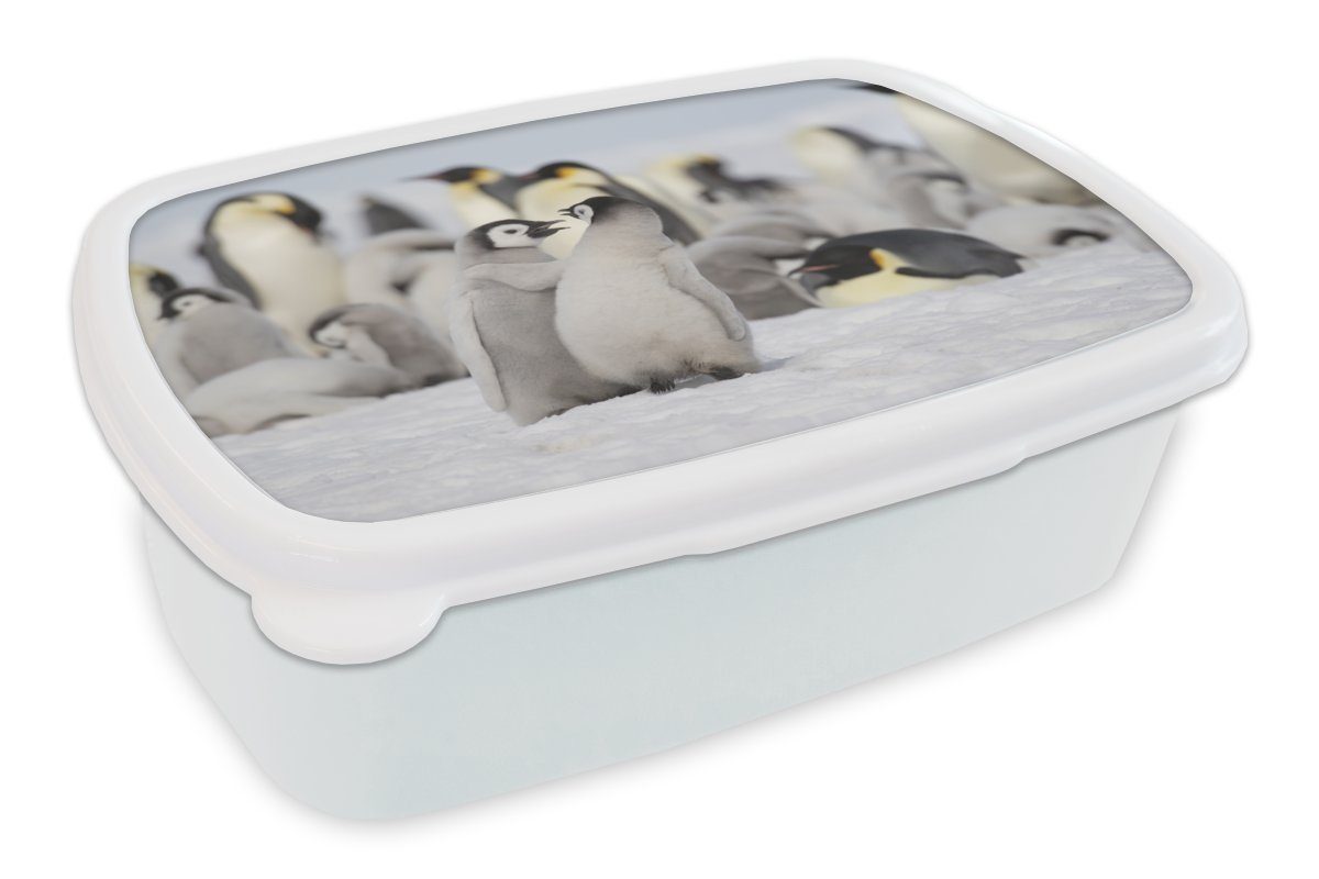 MuchoWow Lunchbox Pinguine - Schnee - Tiere, Kunststoff, (2-tlg), Brotbox für Kinder und Erwachsene, Brotdose, für Jungs und Mädchen weiß