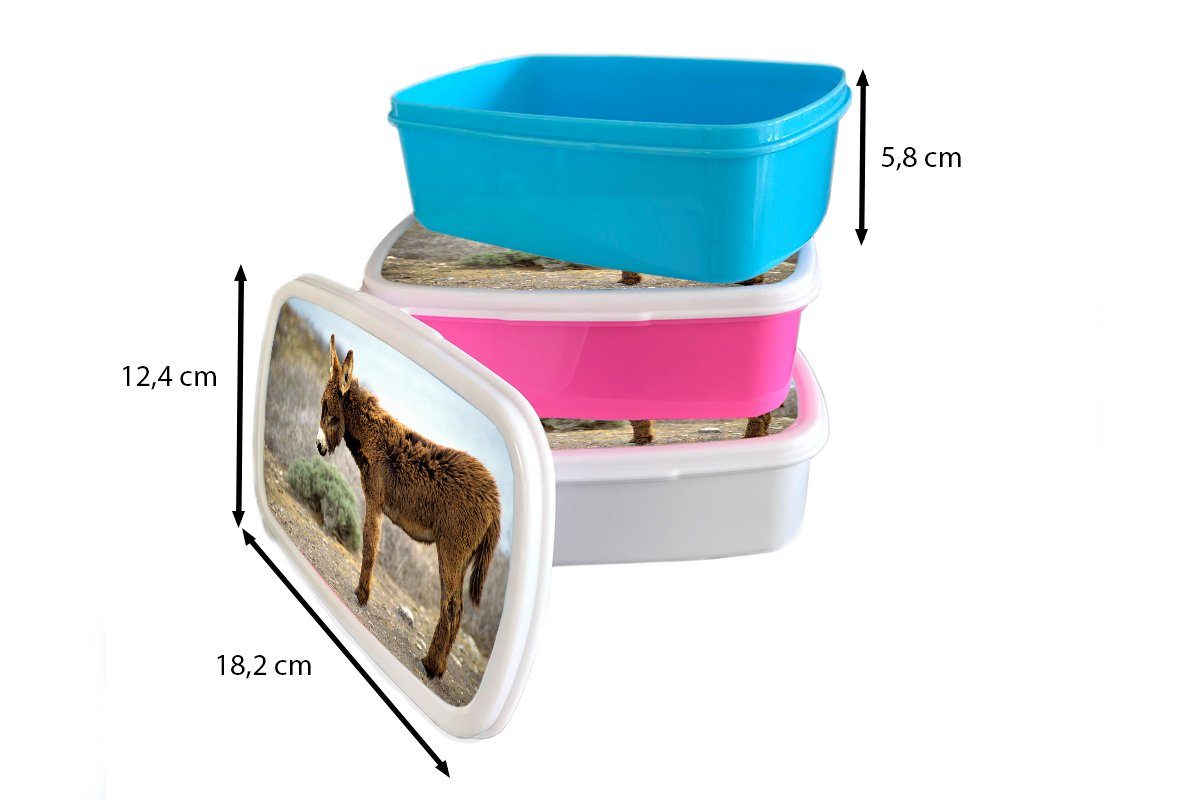 MuchoWow Lunchbox Einsamer Esel in Brotdose, Erwachsene, Mädchen Kinder für weiß Kunststoff, und Brotbox und Landschaft, (2-tlg), karger für Jungs