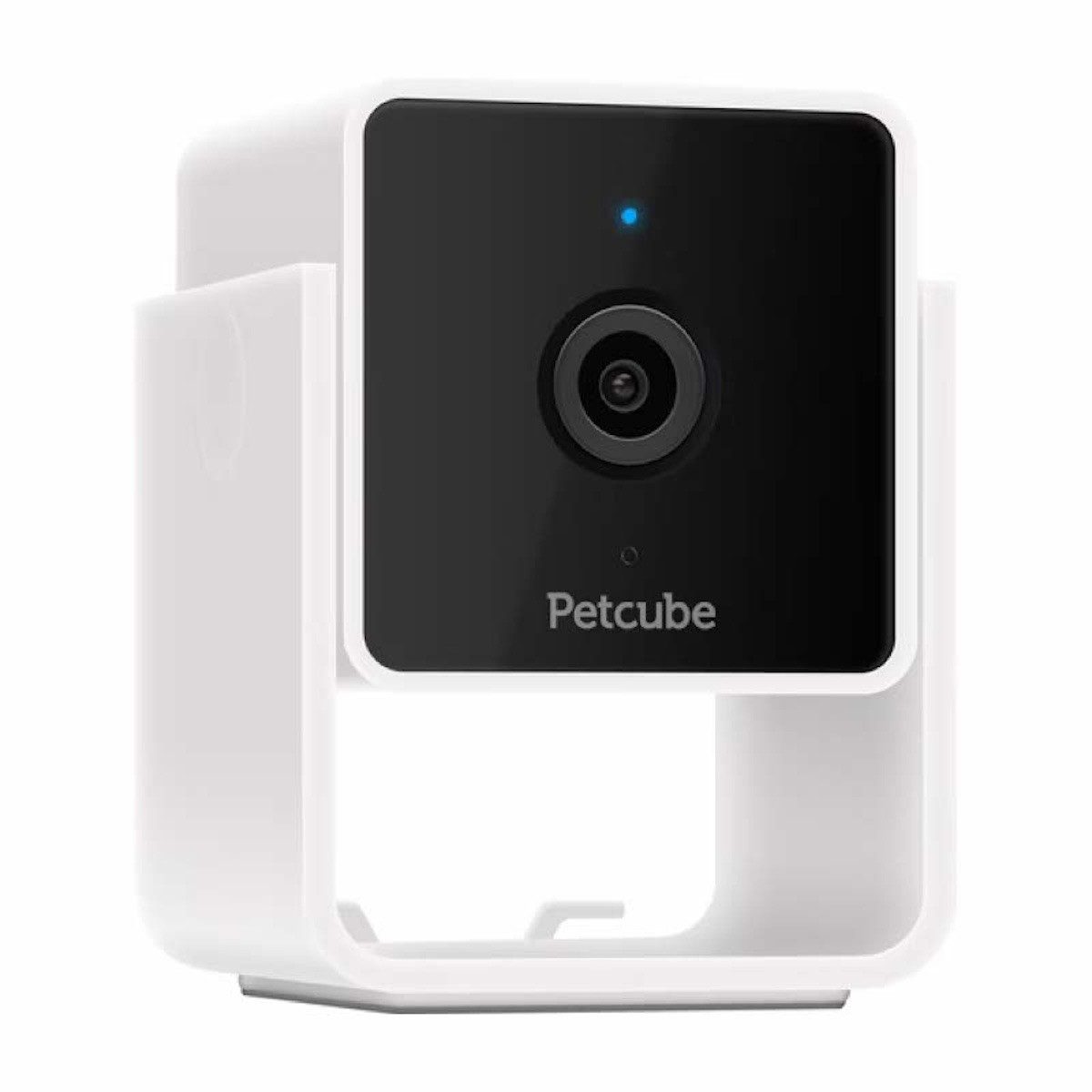 Petcube IP-Überwachungskamera Cam (Innenbereich, Nein, WLAN-Haustierkamera)