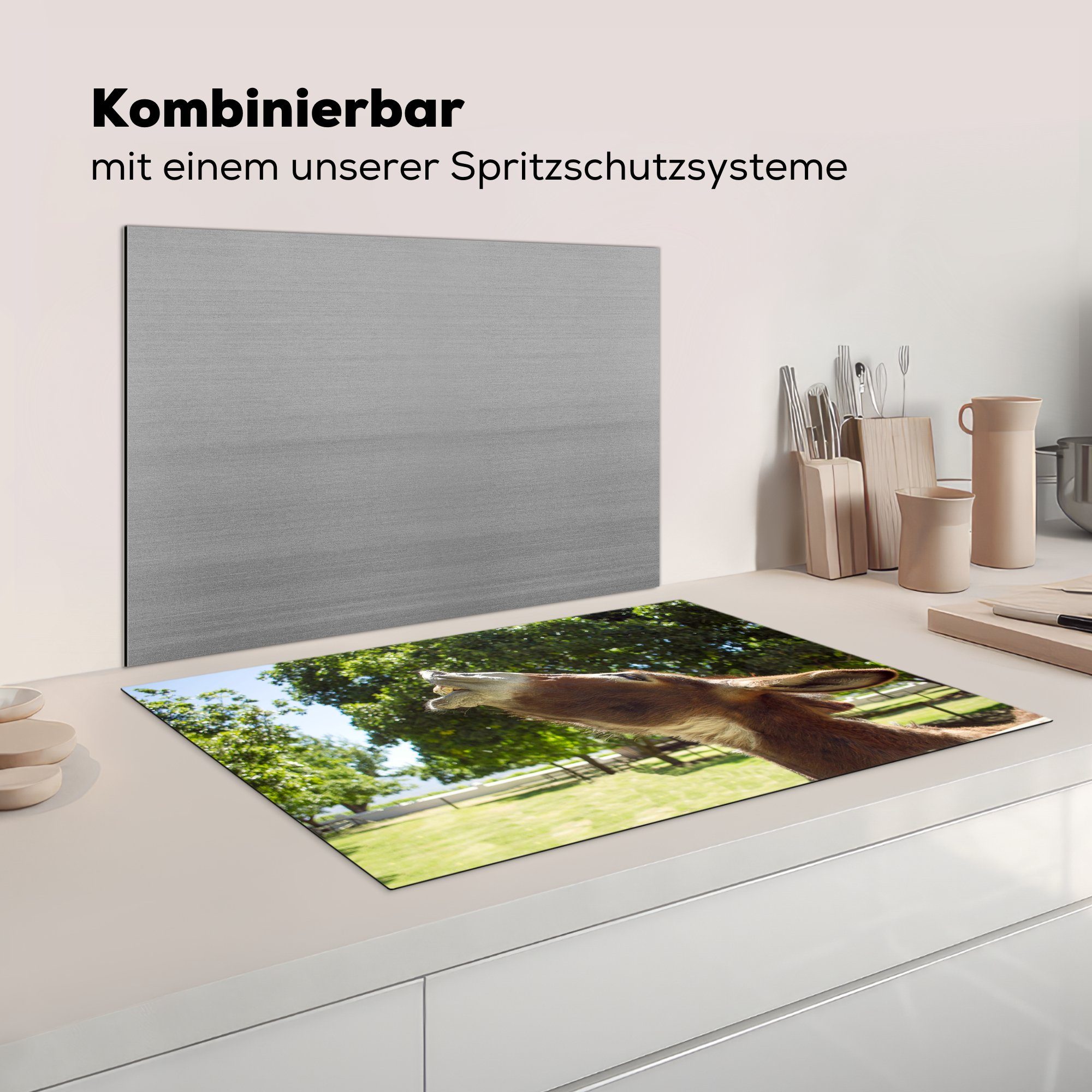 (1 Schutz küche, 81x52 tlg), cm, Induktionskochfeld Ceranfeldabdeckung Vinyl, MuchoWow lachend, für die Esel Herdblende-/Abdeckplatte