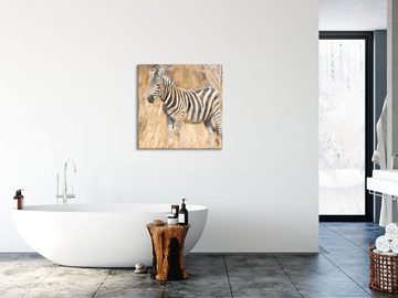 Pixxprint Glasbild Anmutiges Zebra in Savanne, Anmutiges Zebra in Savanne (1 St), Glasbild aus Echtglas, inkl. Aufhängungen und Abstandshalter