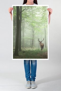 Sinus Art Poster 60x90cm Poster Landschaftsfotografie  Hirsch im Nebelwald
