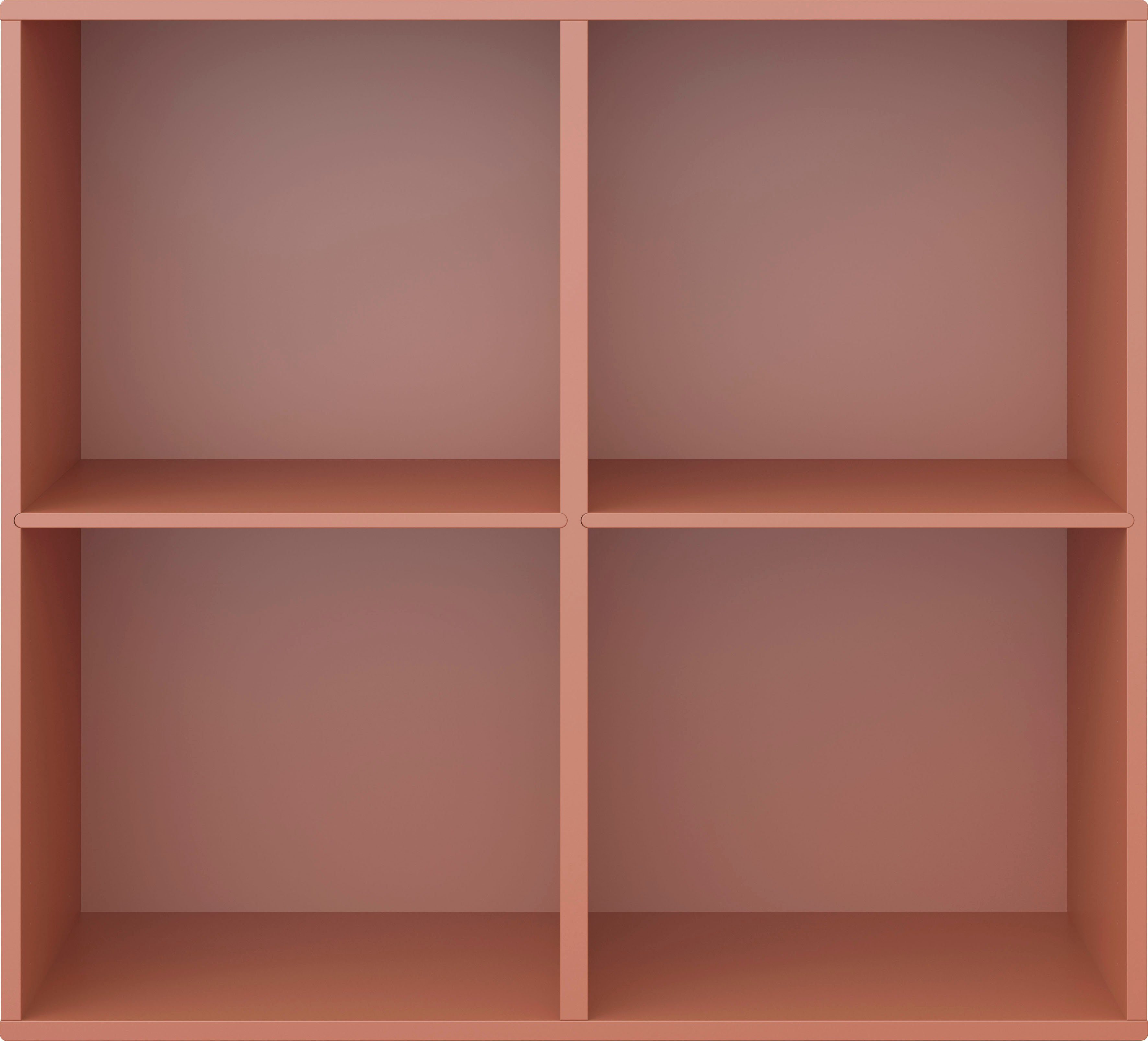 feste Einlegeböden, Breite Furniture Modul Wandmontage/ Terrakotta Hammel by Regal Terrakotta 006, | cm stehend 2 Keep montierbar, Hammel 88,6