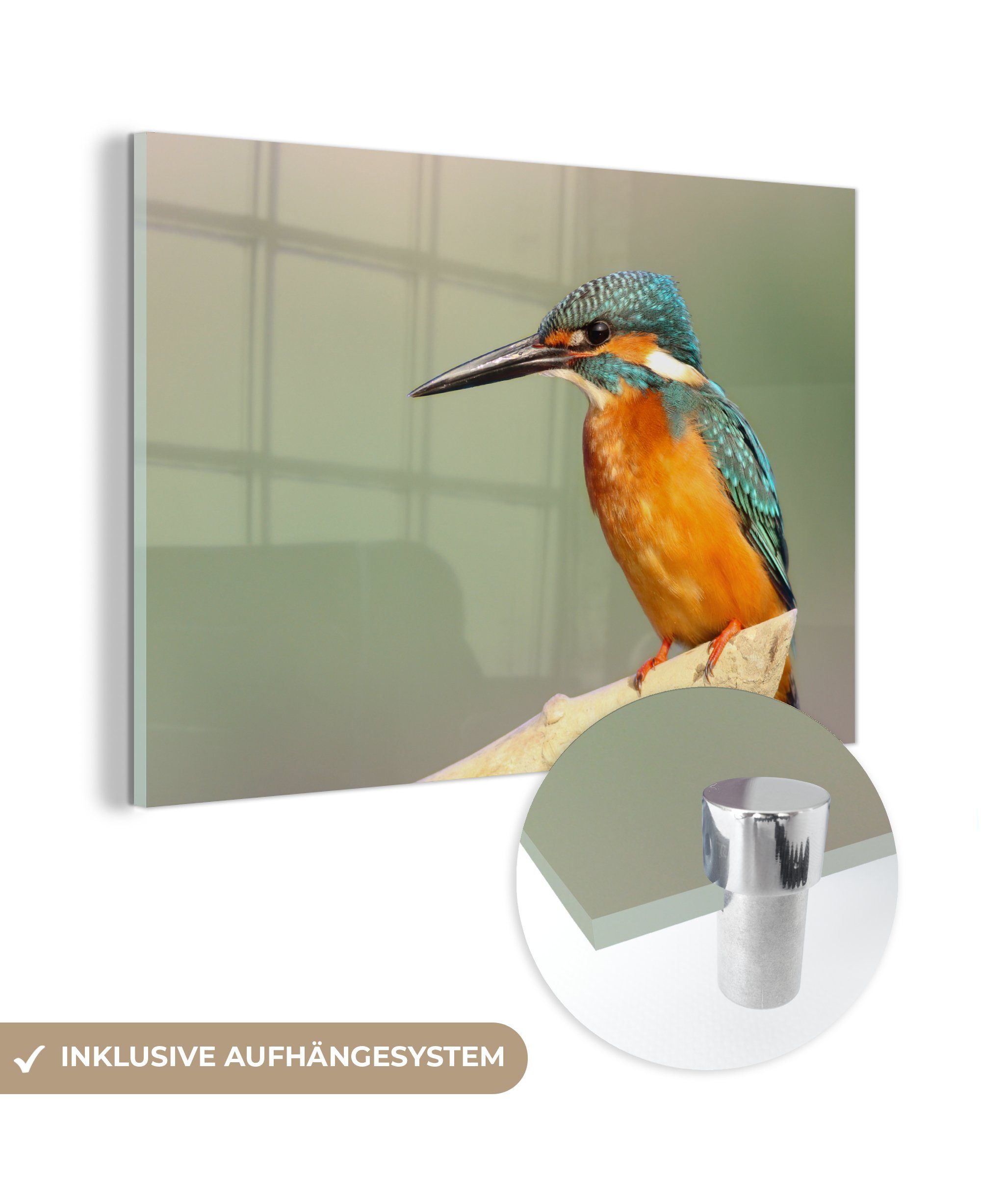 MuchoWow Acrylglasbild Vogel - Eisvogel - Zweig, (1 St), Acrylglasbilder Wohnzimmer & Schlafzimmer