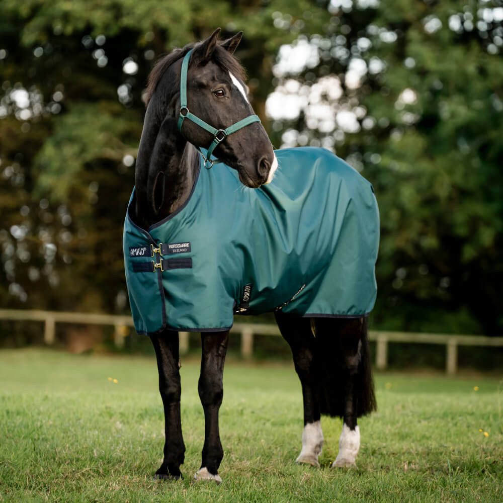 Horseware Pferde-Thermodecke Horseware Amigo Ripstop 900D 100g