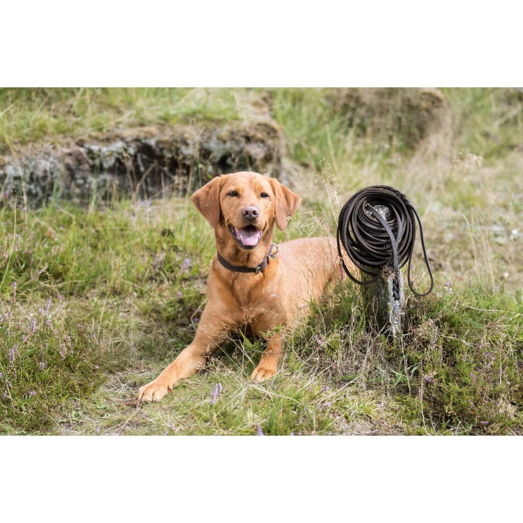 TRIXIE Schleppleine Rustic Fettleder Schleppleine - dunkelbraun - 10 m/8 mm, Leder