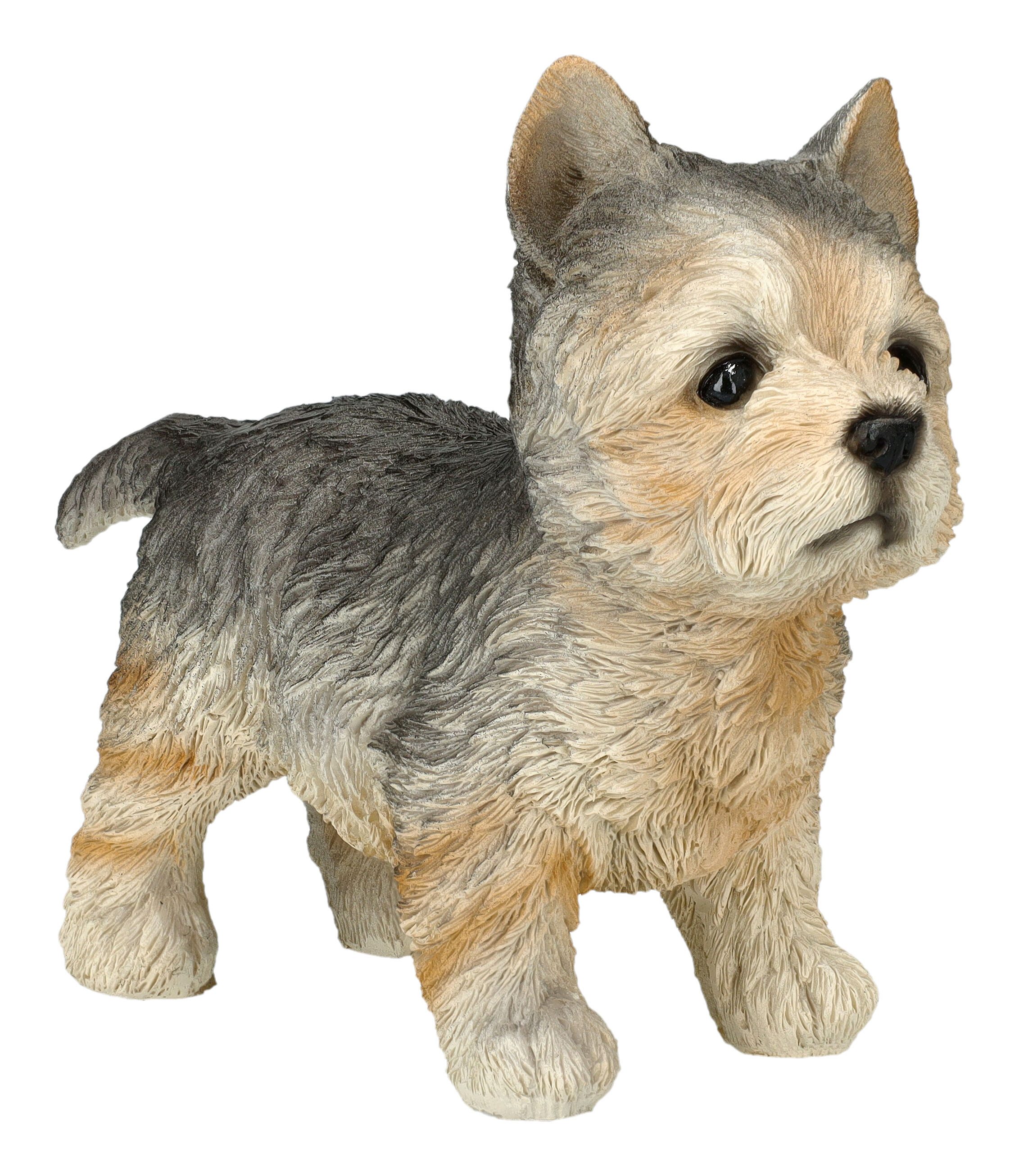 Figuren Shop GmbH Tierfigur Norfolk Terrier Figur – Hundefigur Statue Hund Deko 12.5 cm Dekofigur